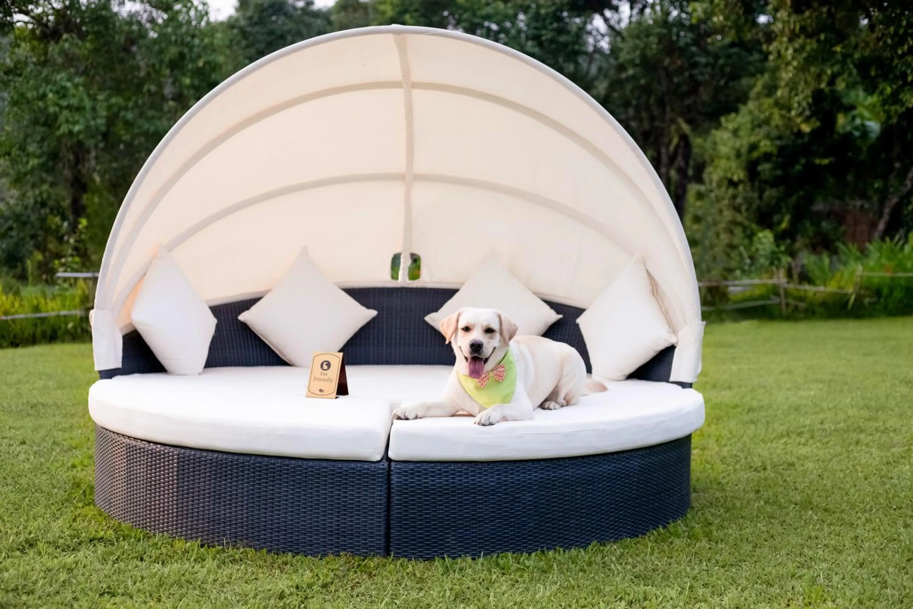 Pets in Aurika, Coorg Luxury by Lemon Tree Hotels