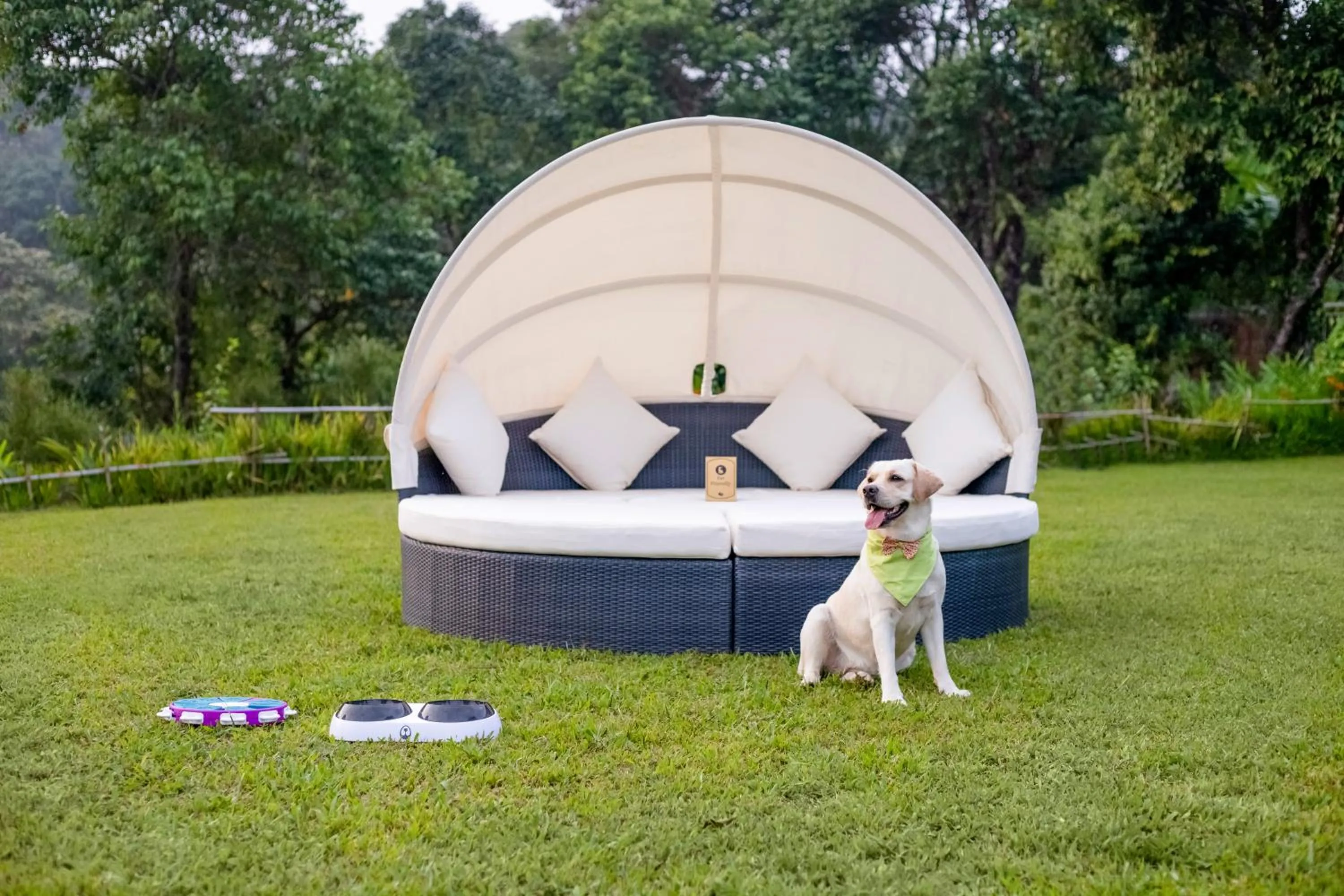 Pets in Aurika, Coorg Luxury by Lemon Tree Hotels