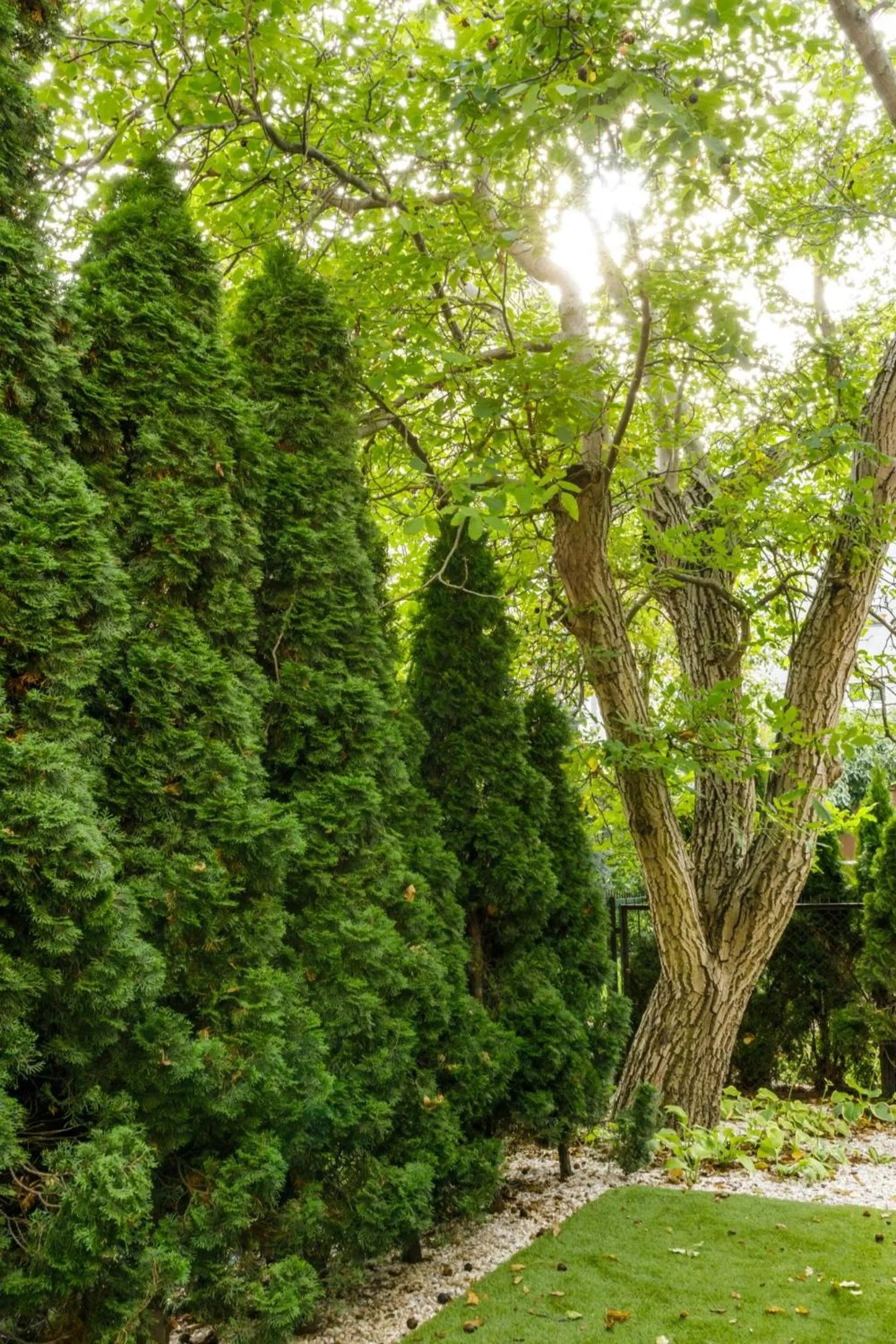 Property building in Apartamenty L11, Limanowskiego