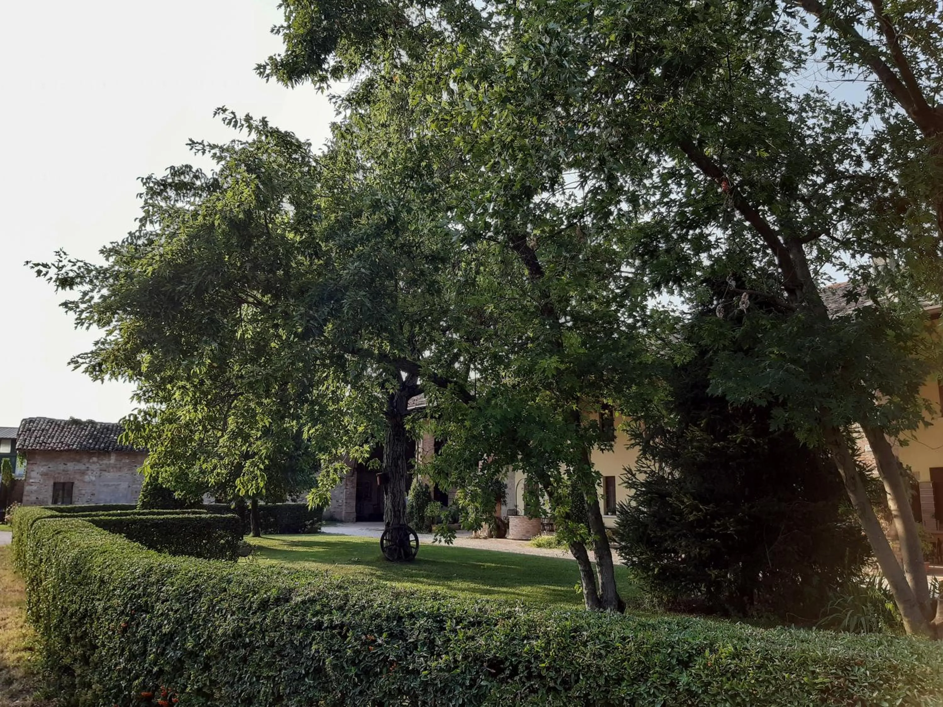 Garden in B&B Santa Cristina