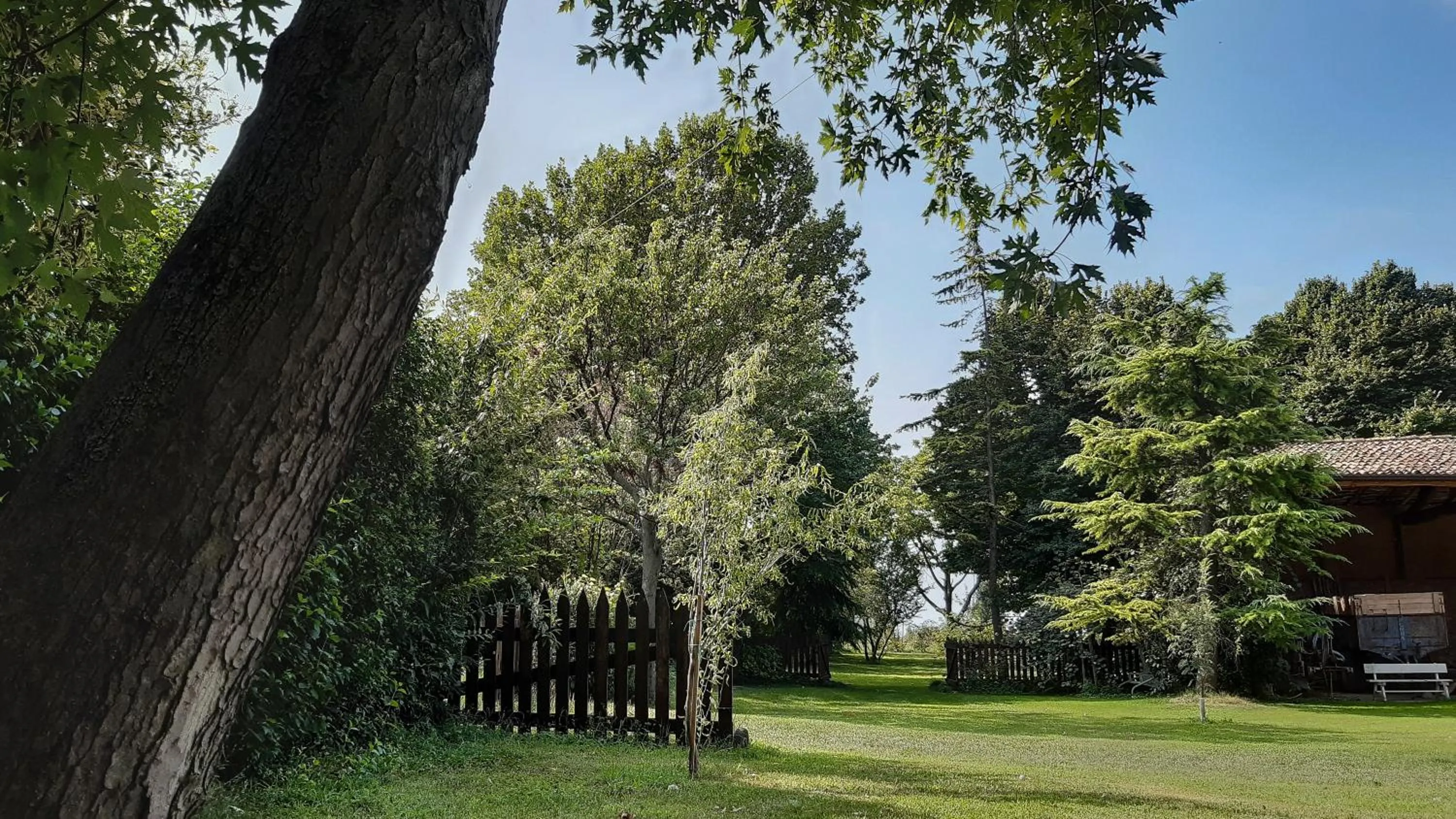 Garden in B&B Santa Cristina