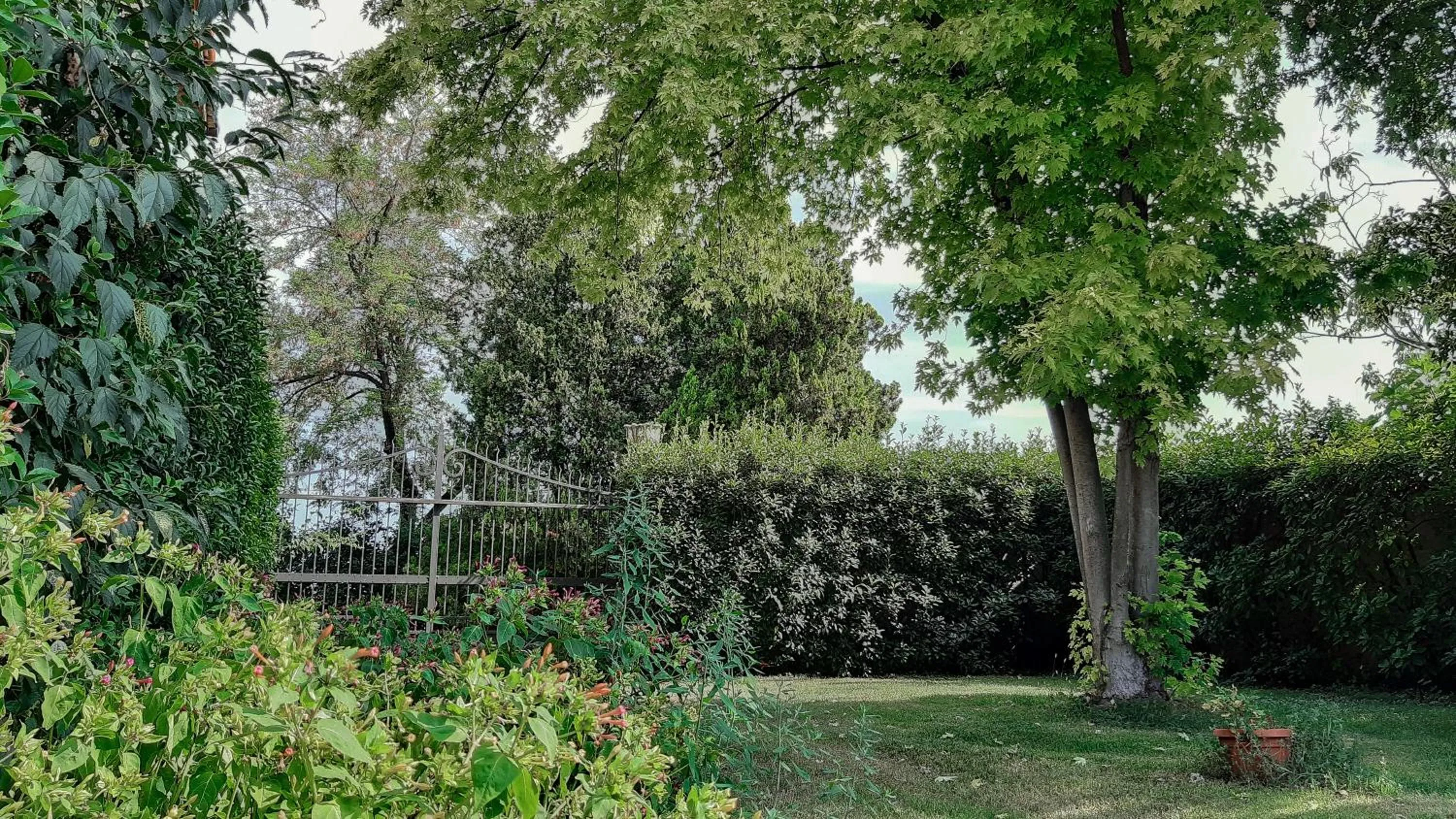 Garden in B&B Santa Cristina