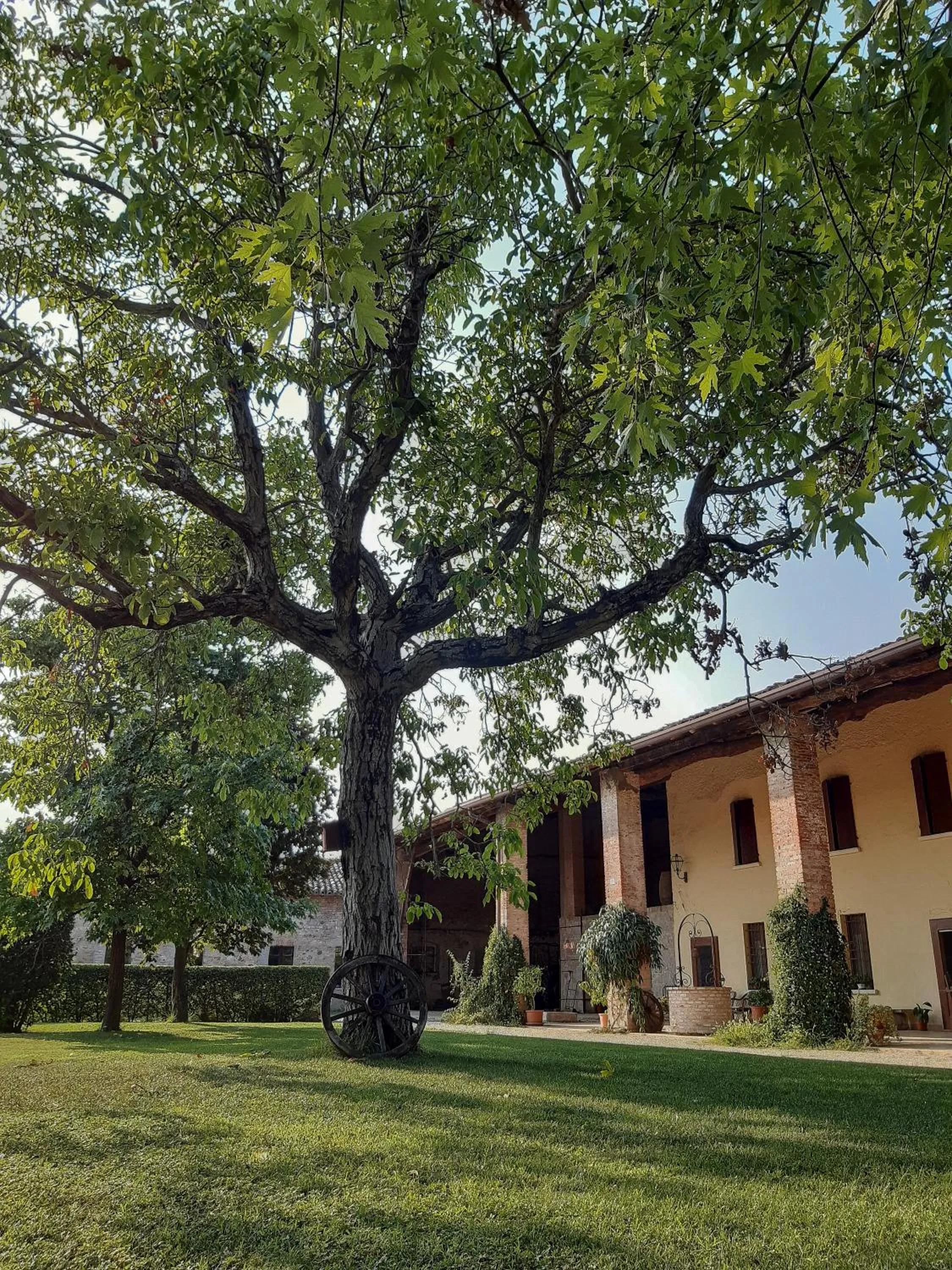 Patio in B&B Santa Cristina