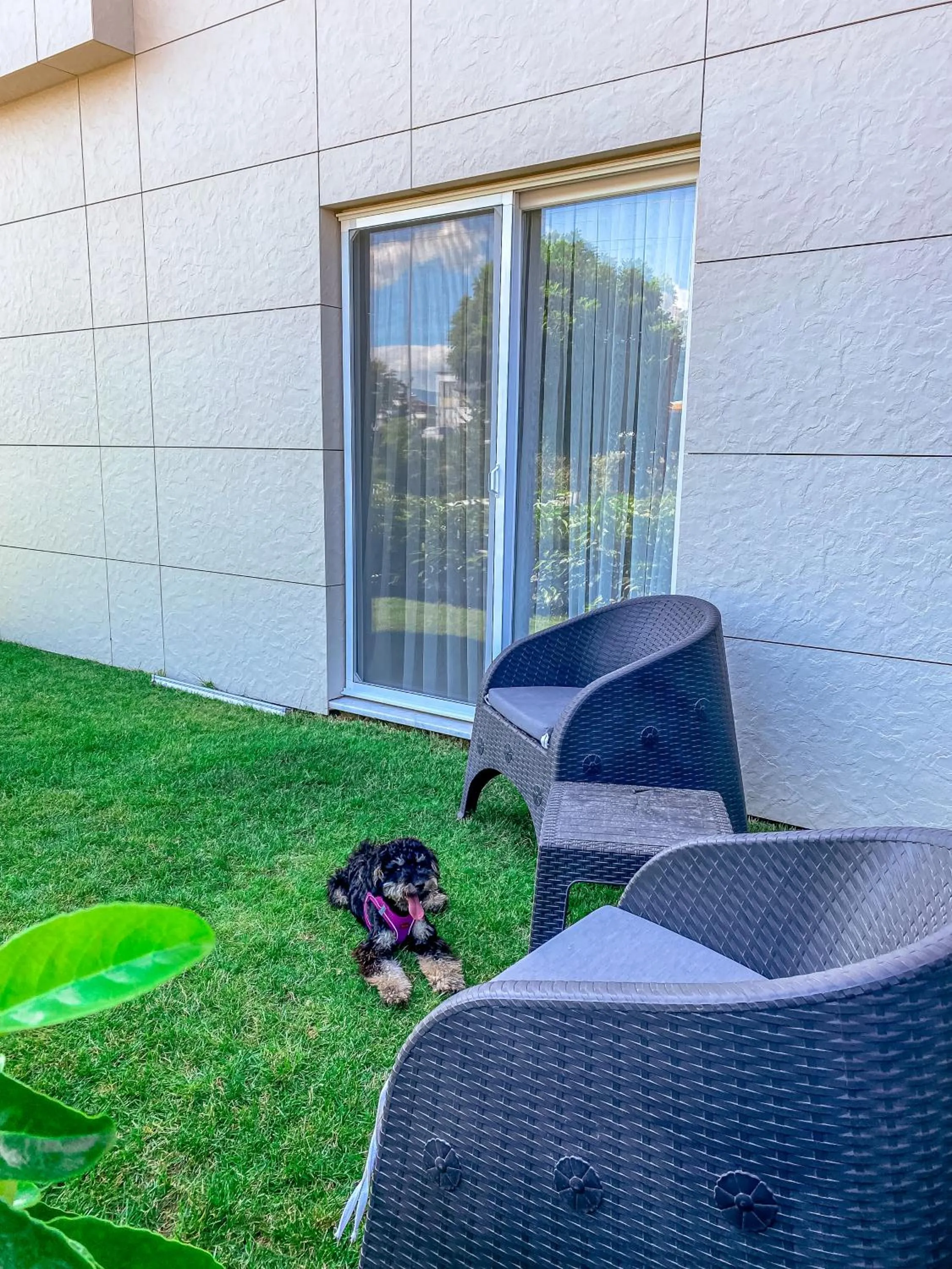 Garden in L'opera Deluxe Hotel