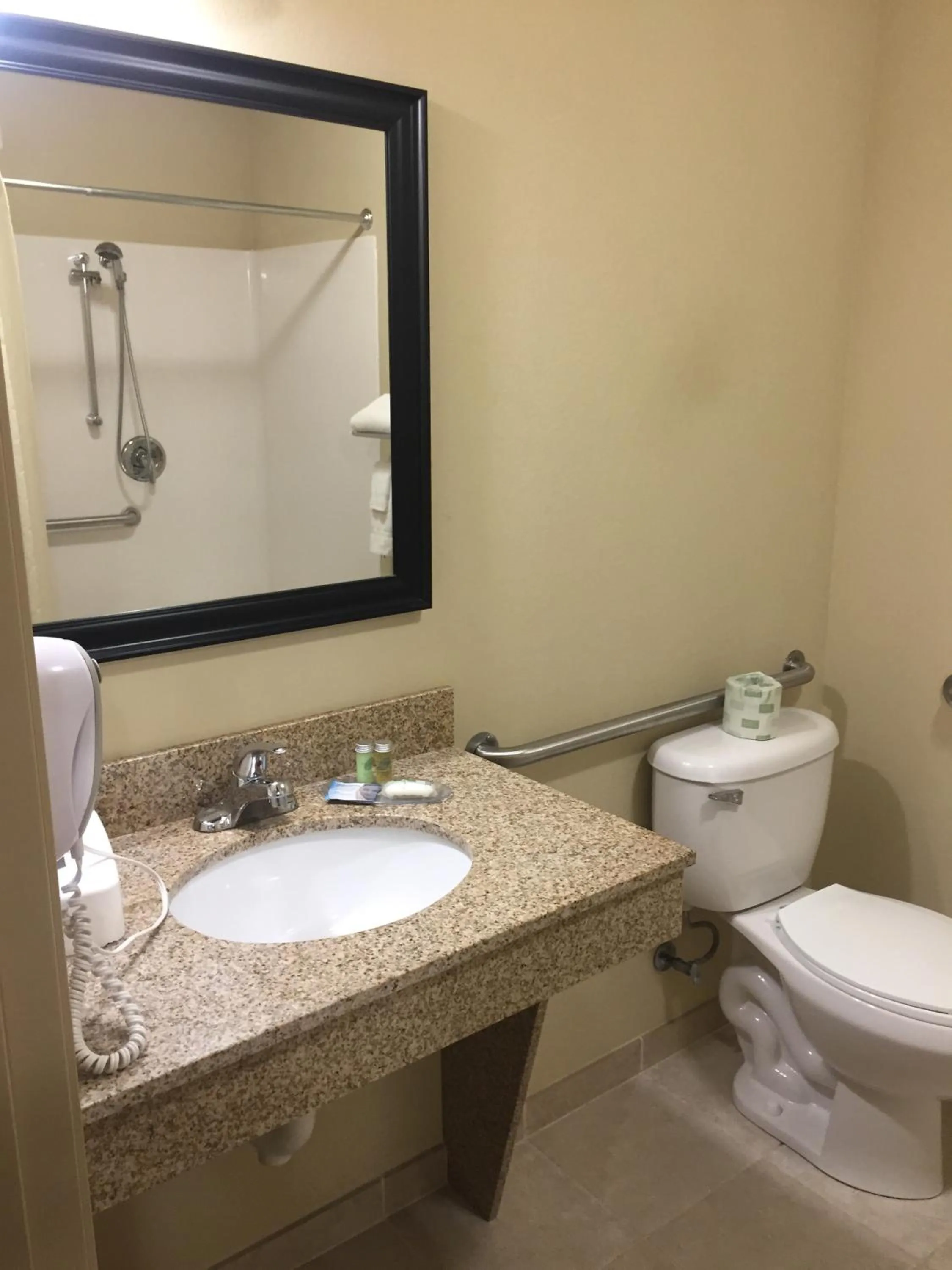 Toilet in Cobblestone Inn & Suites - Bloomfield