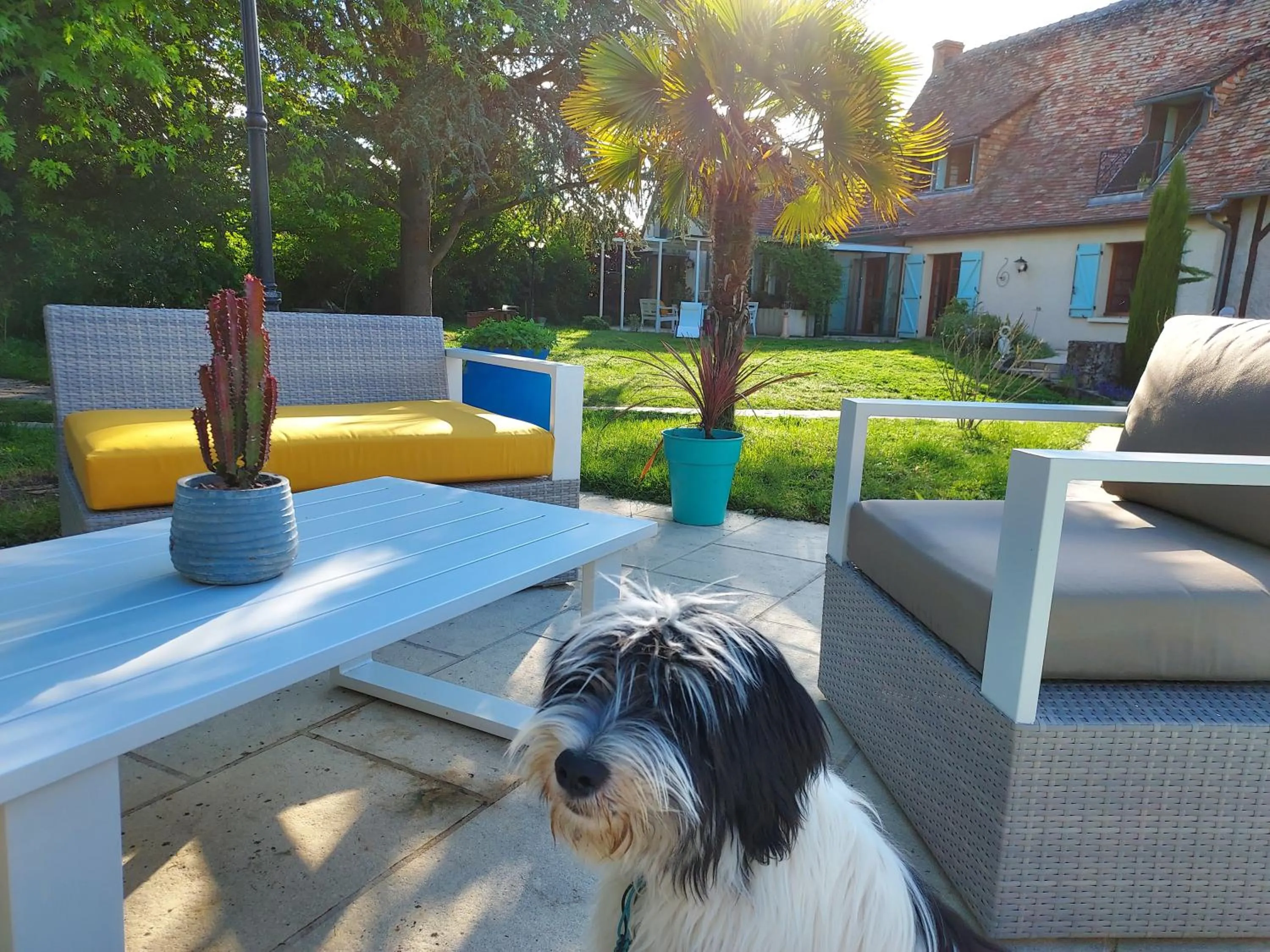 Pets in En pleine campagne, proche du Mans - chambre d'hôtes