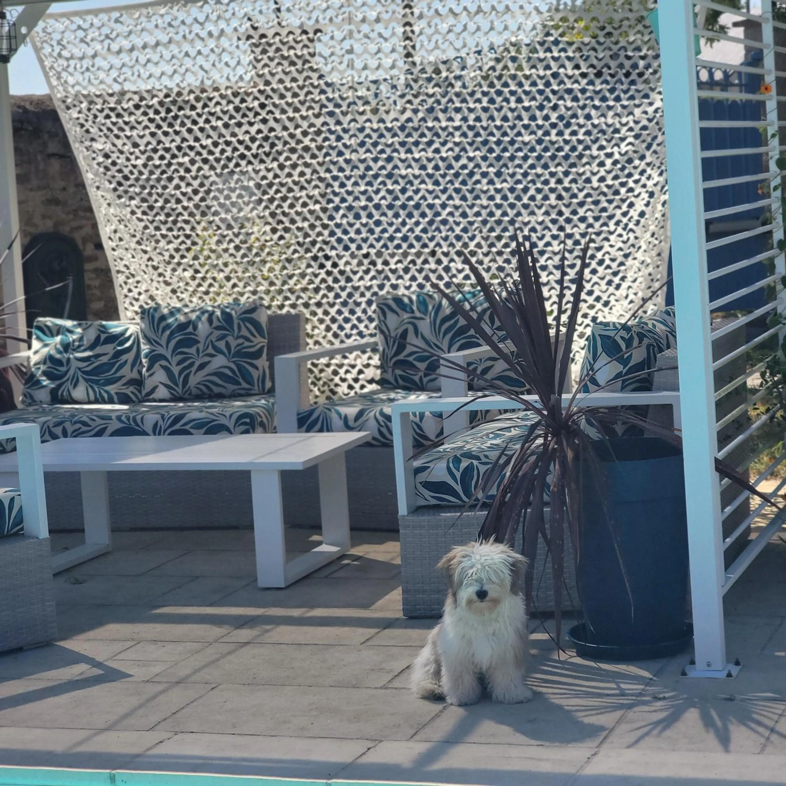 En pleine campagne, proche du Mans - chambre d'hôtes