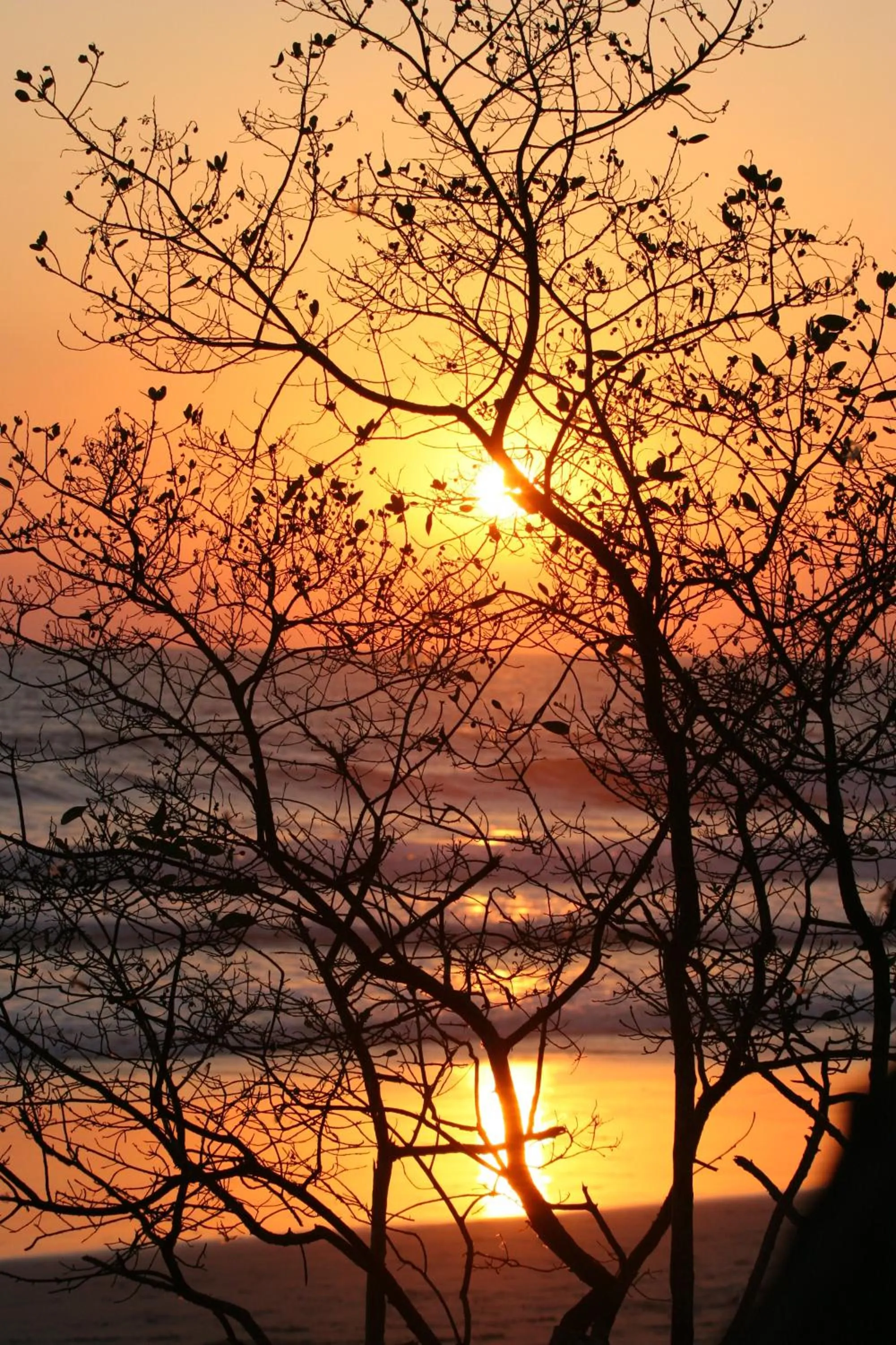 Natural landscape in Banana Beach Bungalows