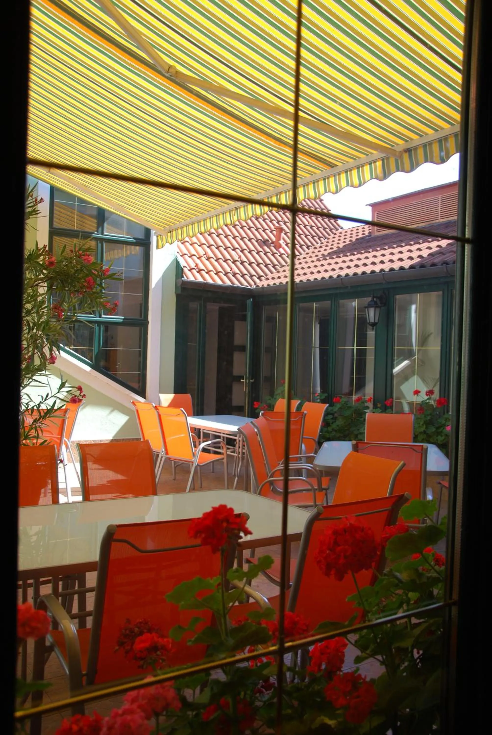 Balcony/Terrace in Bacchus Panzió