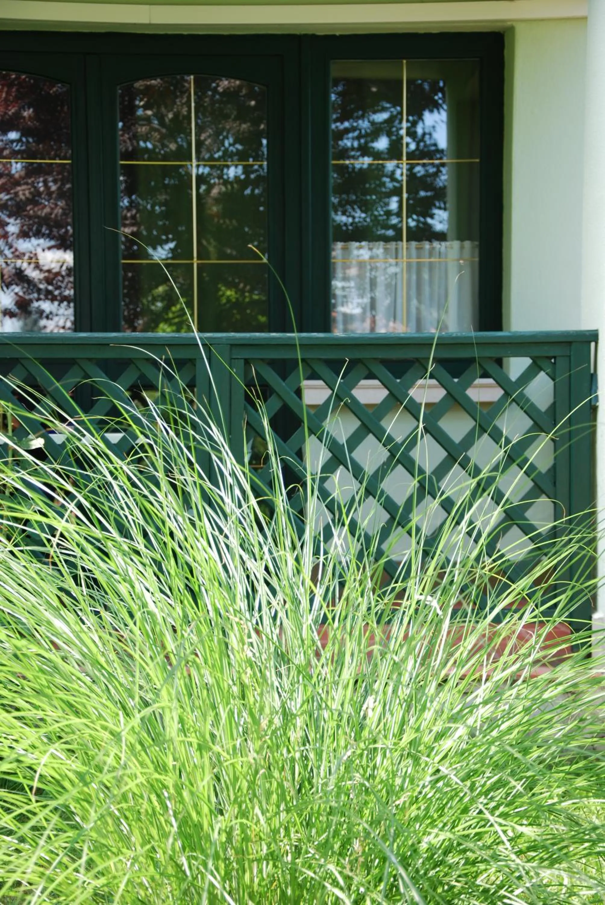 Garden in Bacchus Panzió