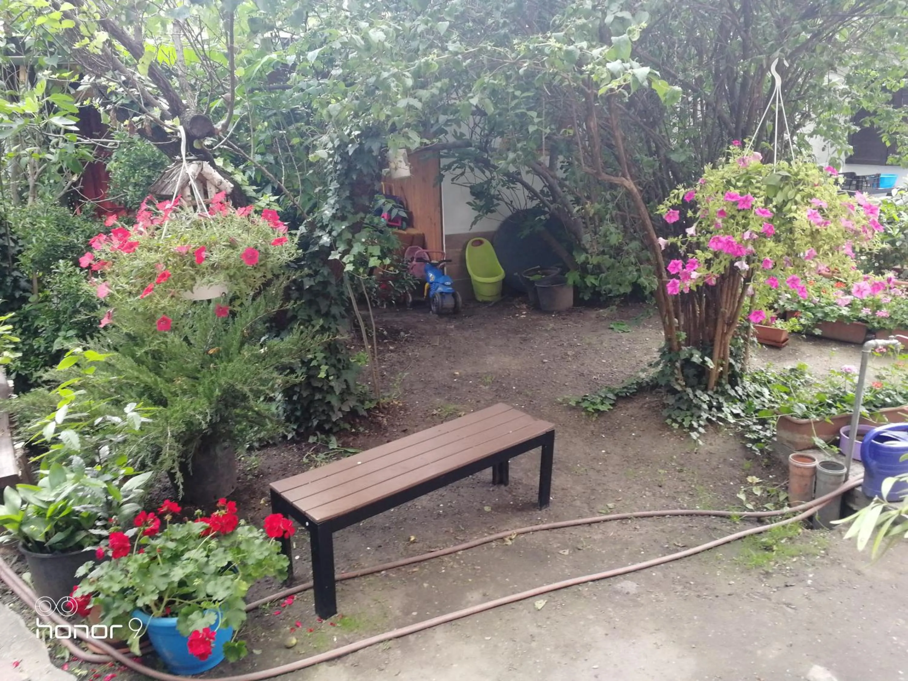 Hungaria Guesthouse