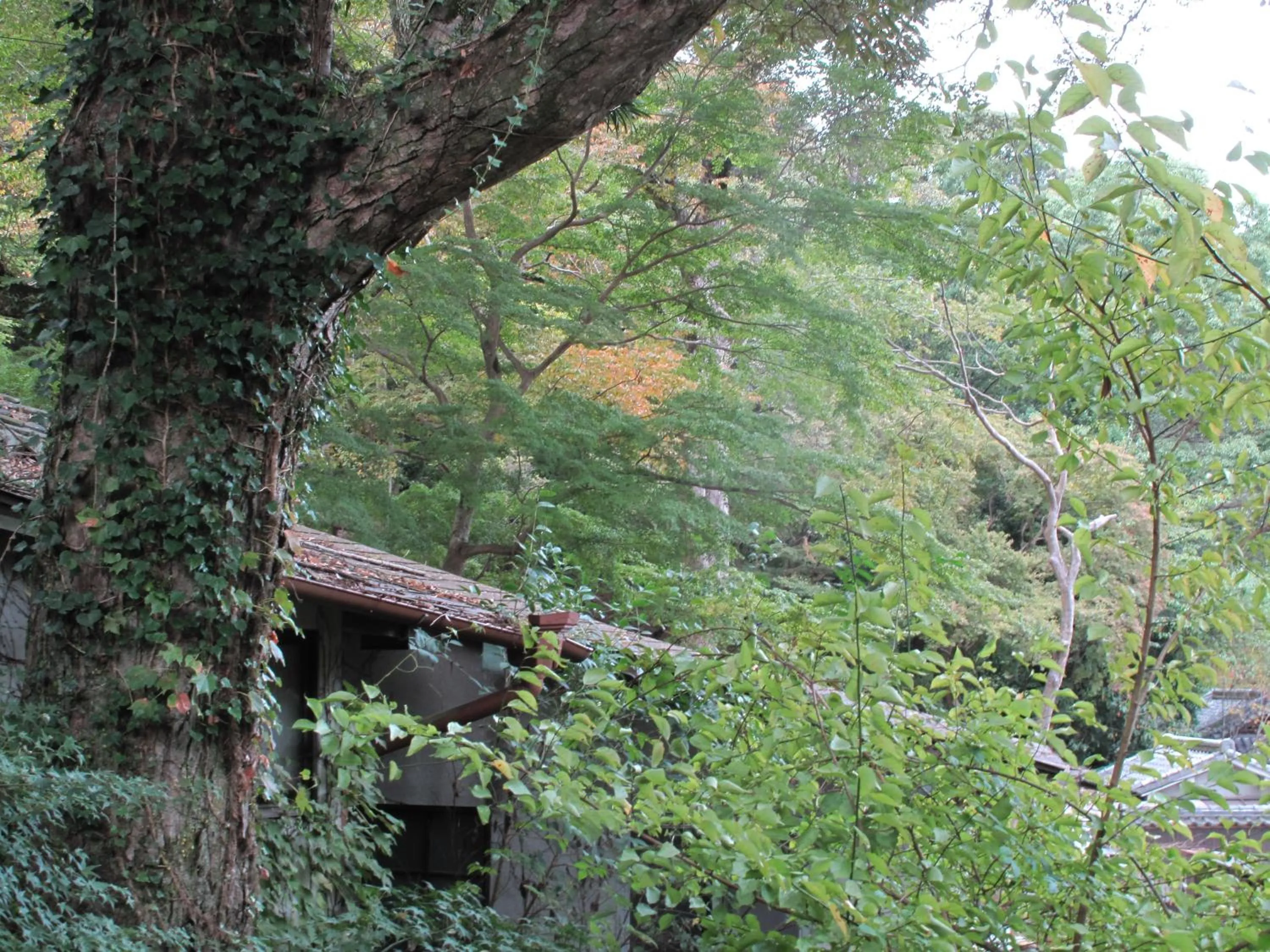 Area and facilities in The Deer Park Inn