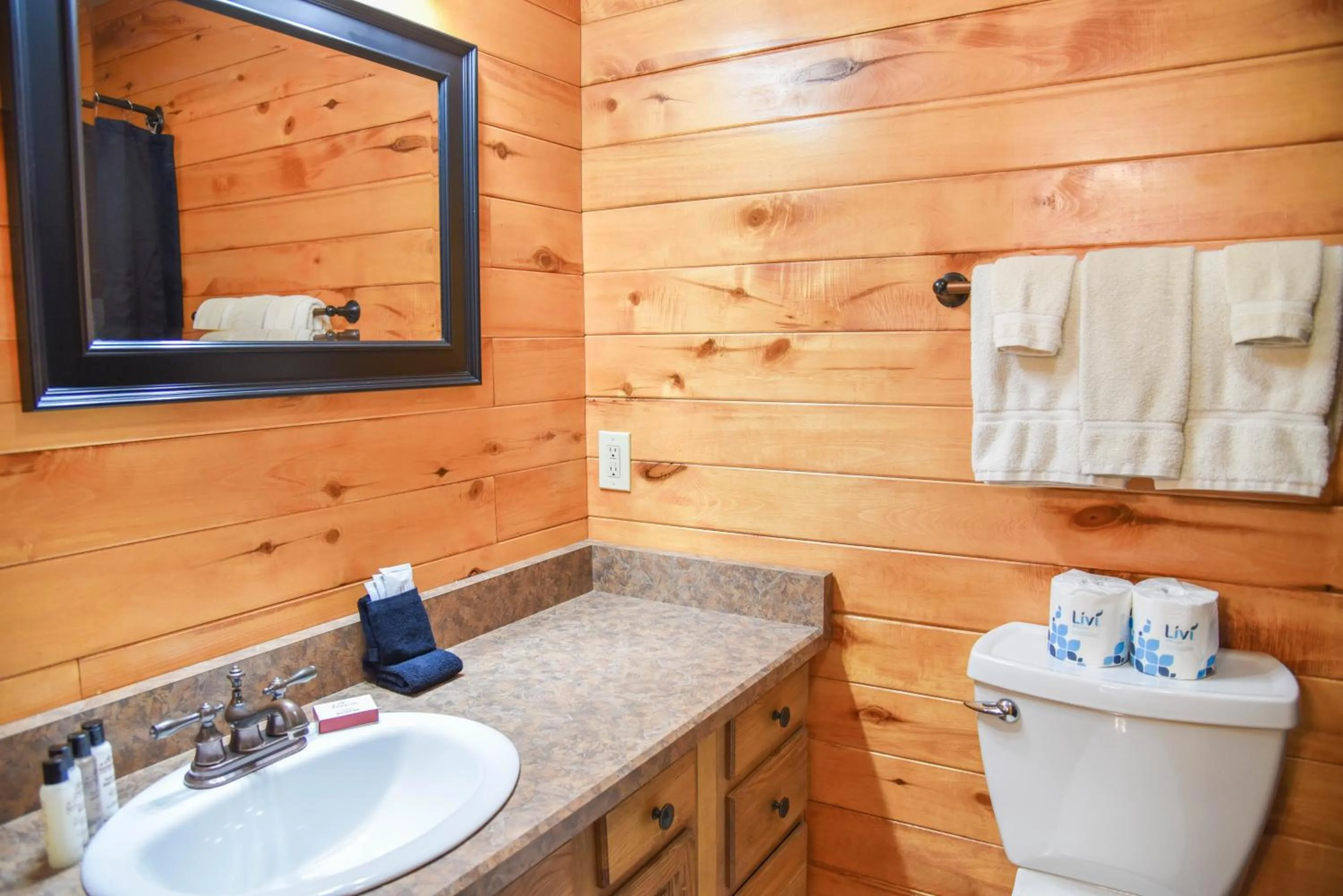 Property building in Mountain Memories, Walk To Ski Area, Town, Fishing