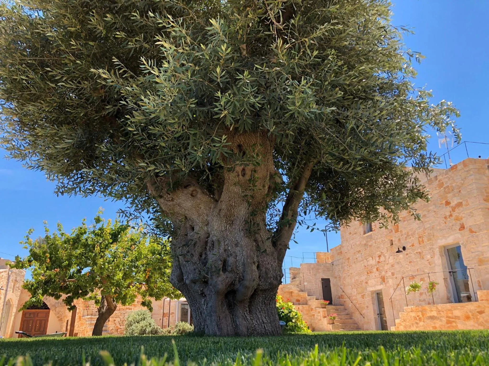 Augusta Trulli Resort B&B