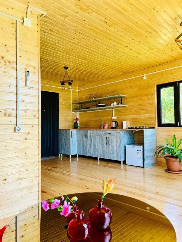 Kitchen or kitchenette in Paradise Inn