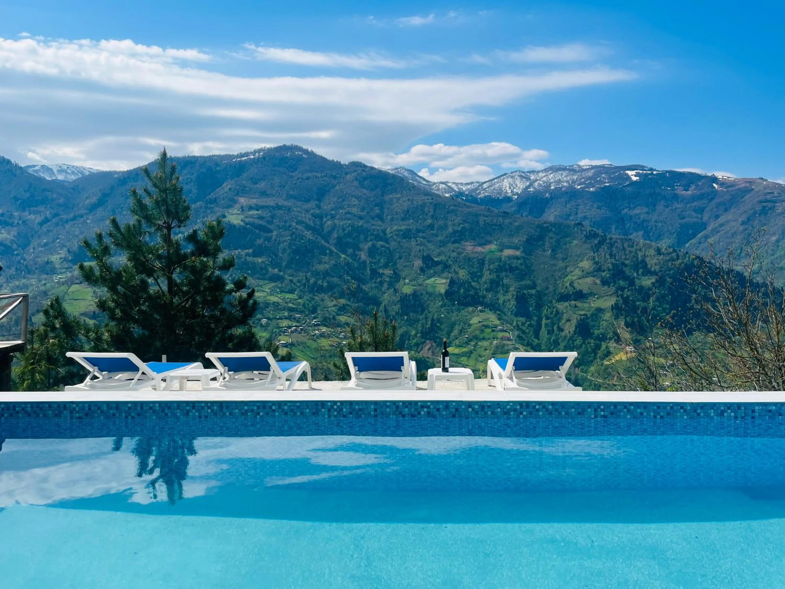 Natural landscape in Paradise Inn