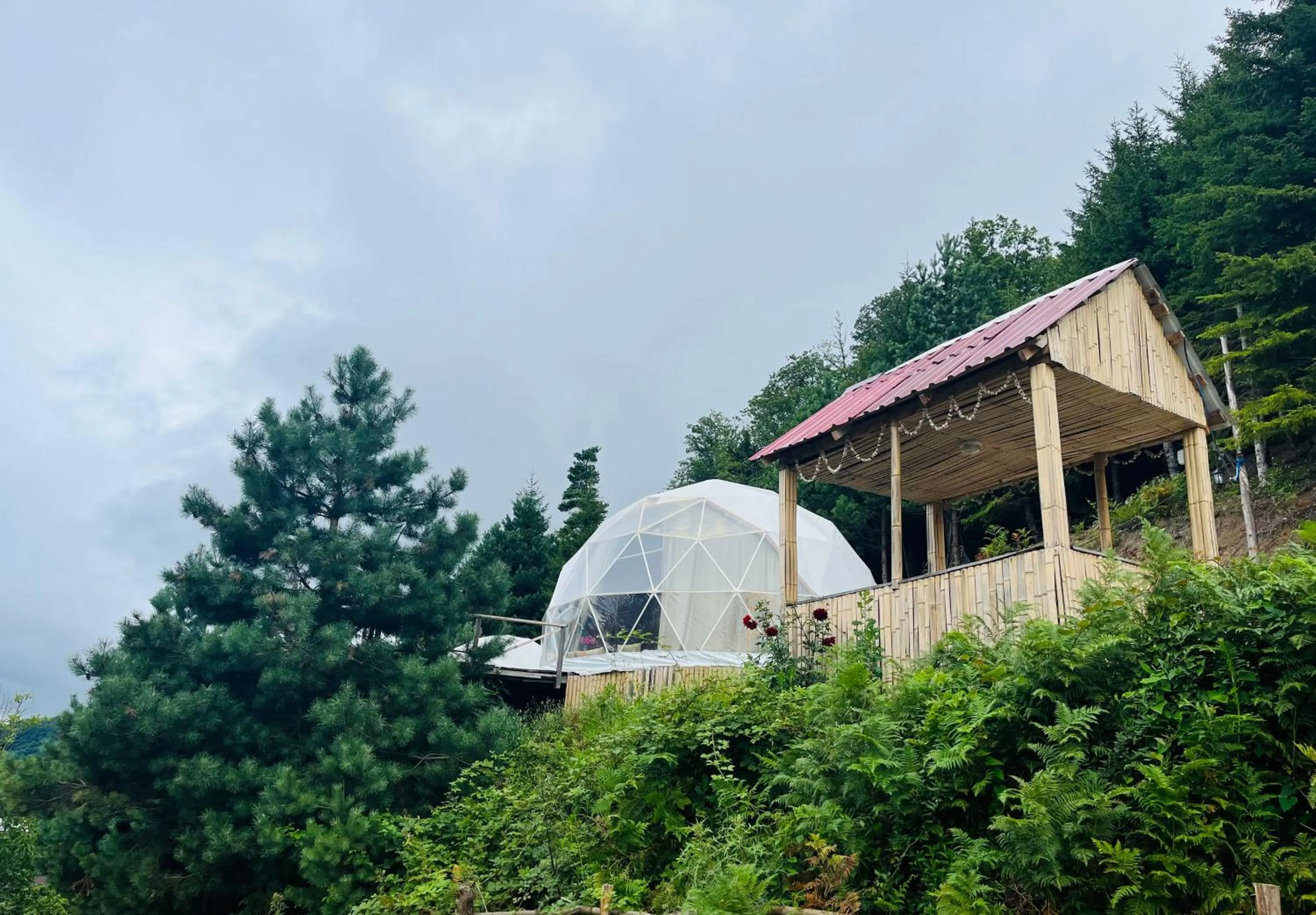 Property building in Paradise Inn