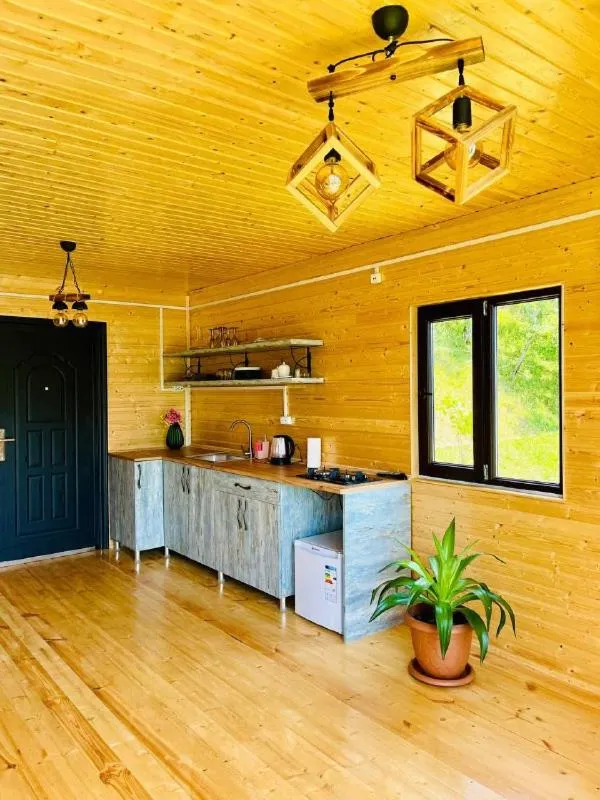 Kitchen or kitchenette in Paradise Inn