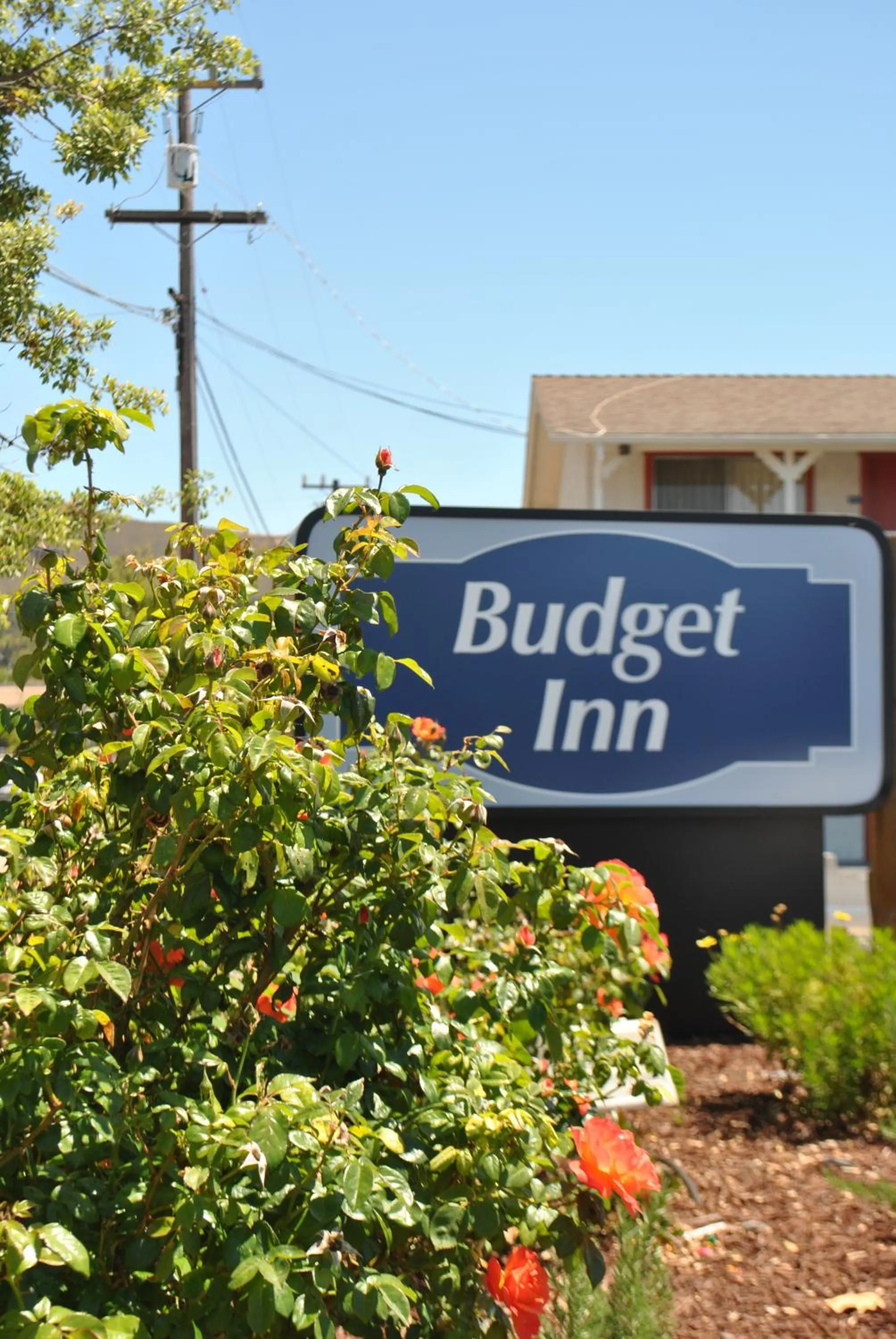 Facade/entrance in Budget Inn