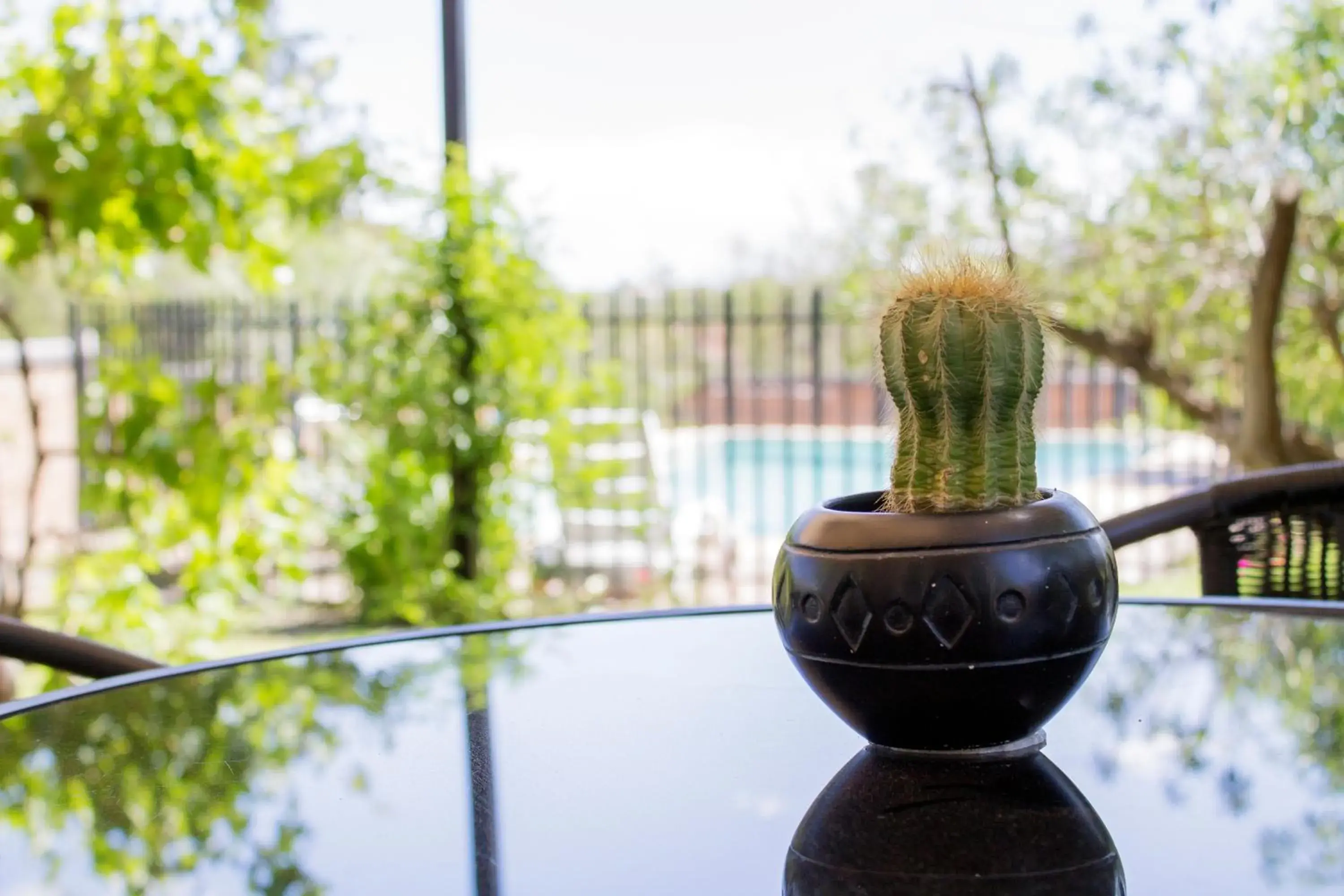 Pool view in Haus Holzapfel Pool view in Haus Holzapfel