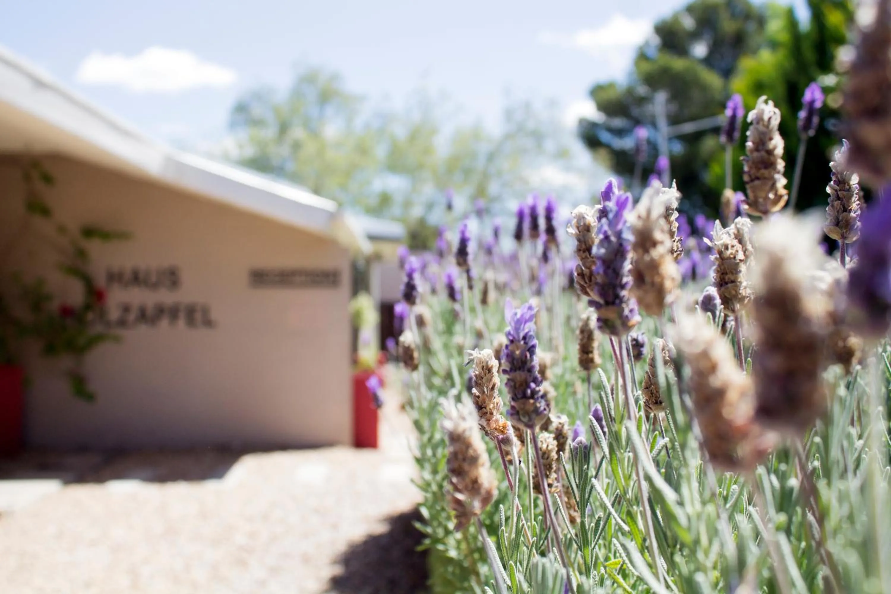 Property building in Haus Holzapfel