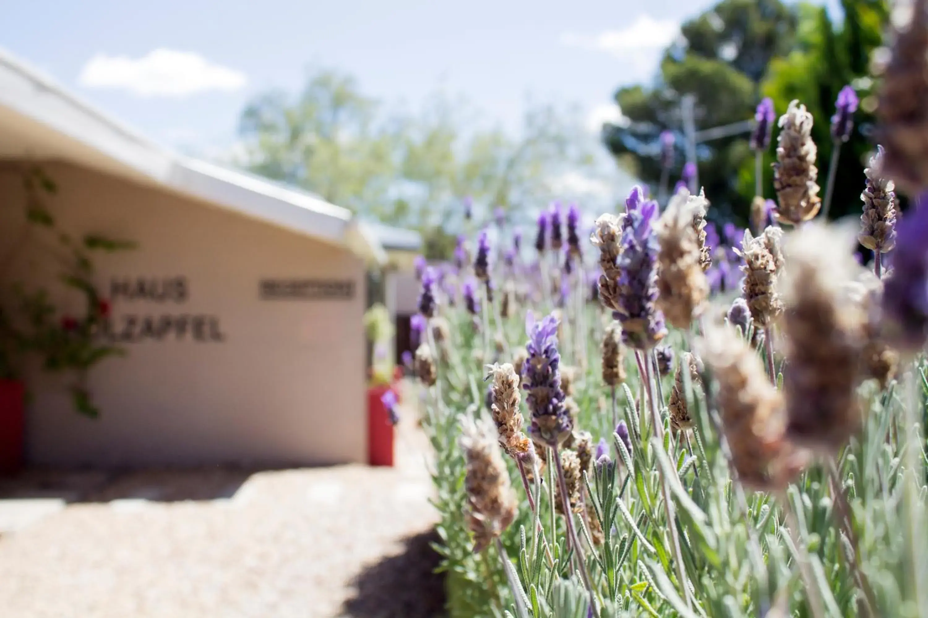 Property building in Haus Holzapfel Property building in Haus Holzapfel