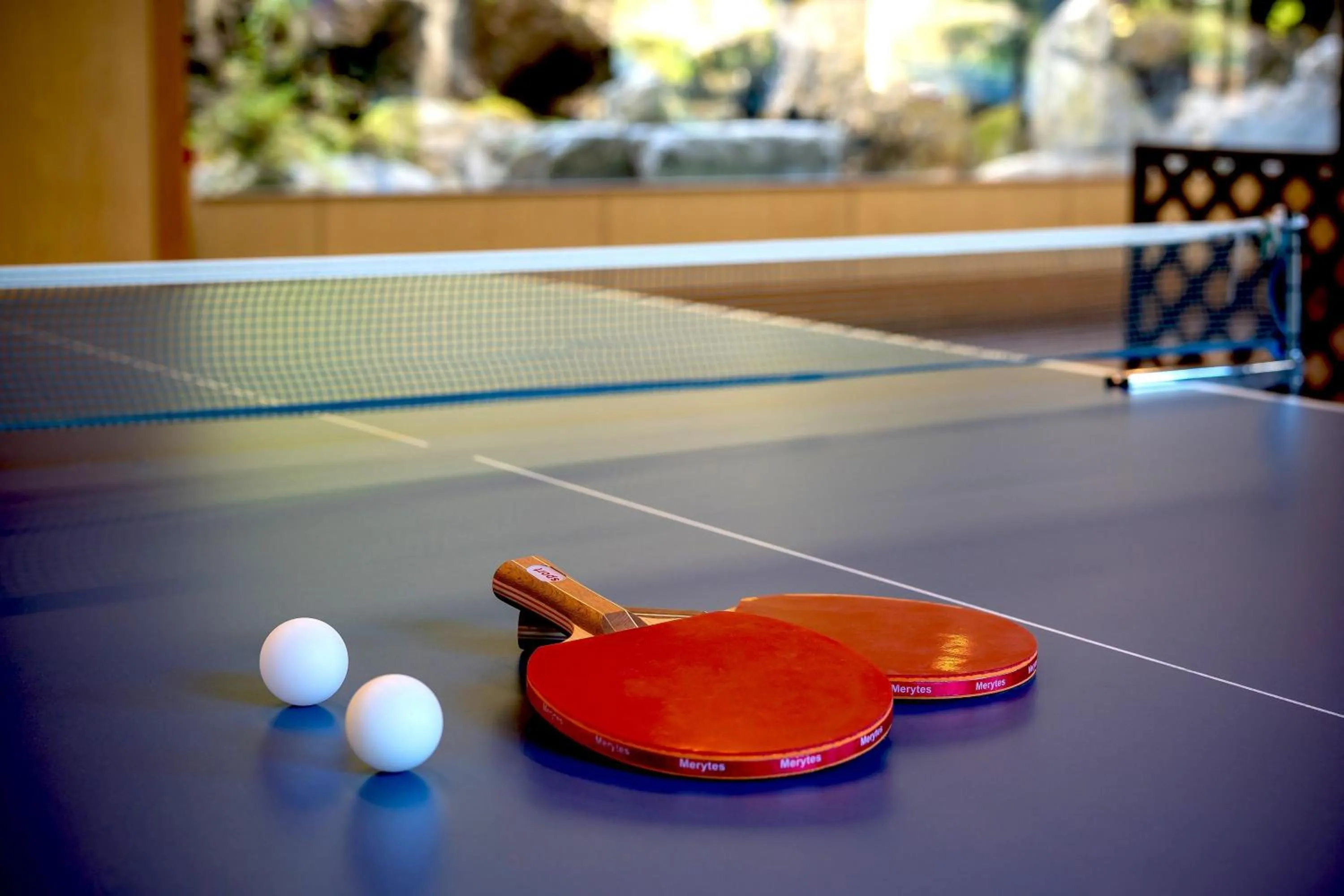 Table tennis in YU-FURI Nasu-Shiobara