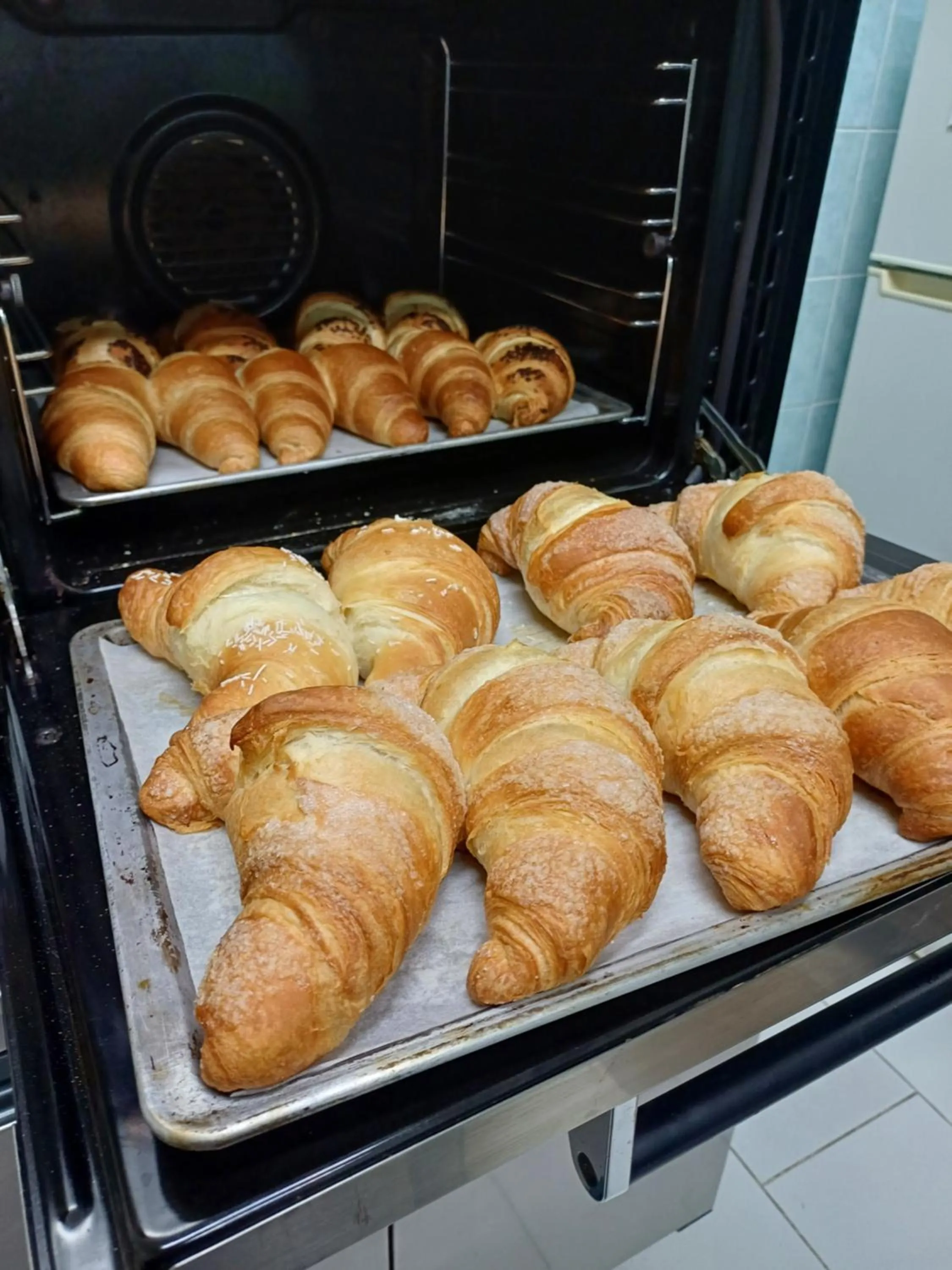 Lounge or bar in Hotel Soleo