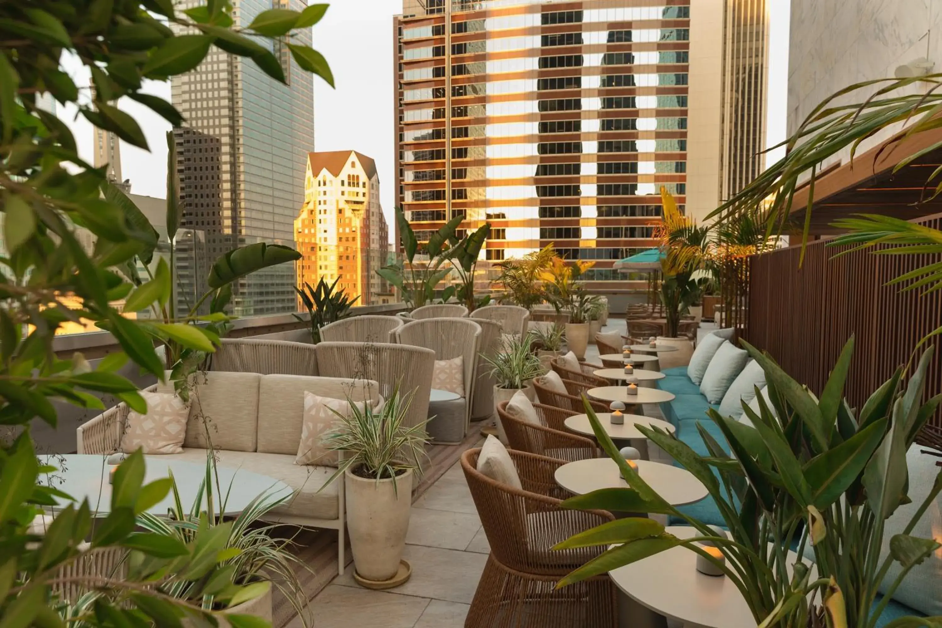 Restaurant/places to eat in The Delphi Downtown LA Restaurant/places to eat in The Delphi Downtown LA