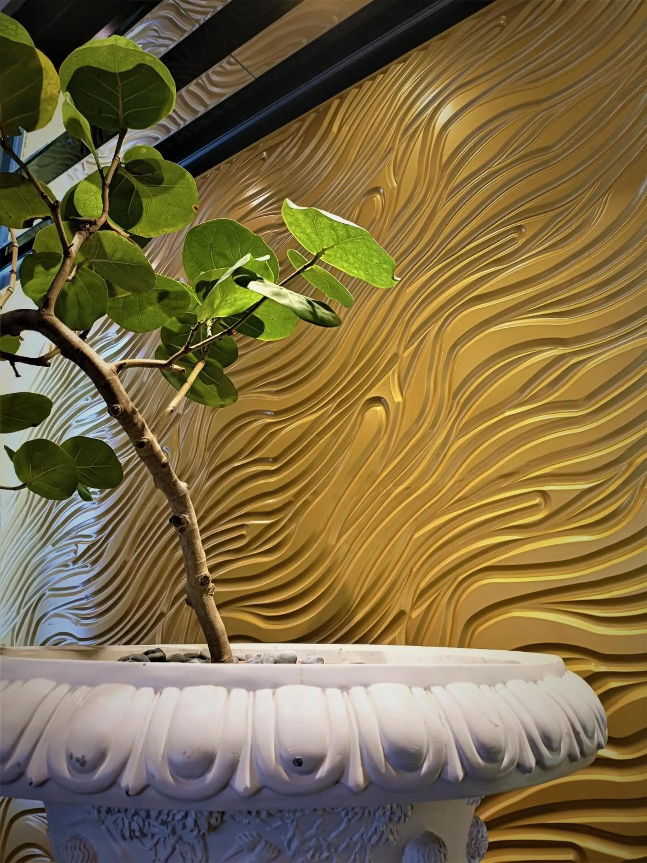 Lobby or reception in Well Garden Hotel Lobby or reception in Well Garden Hotel