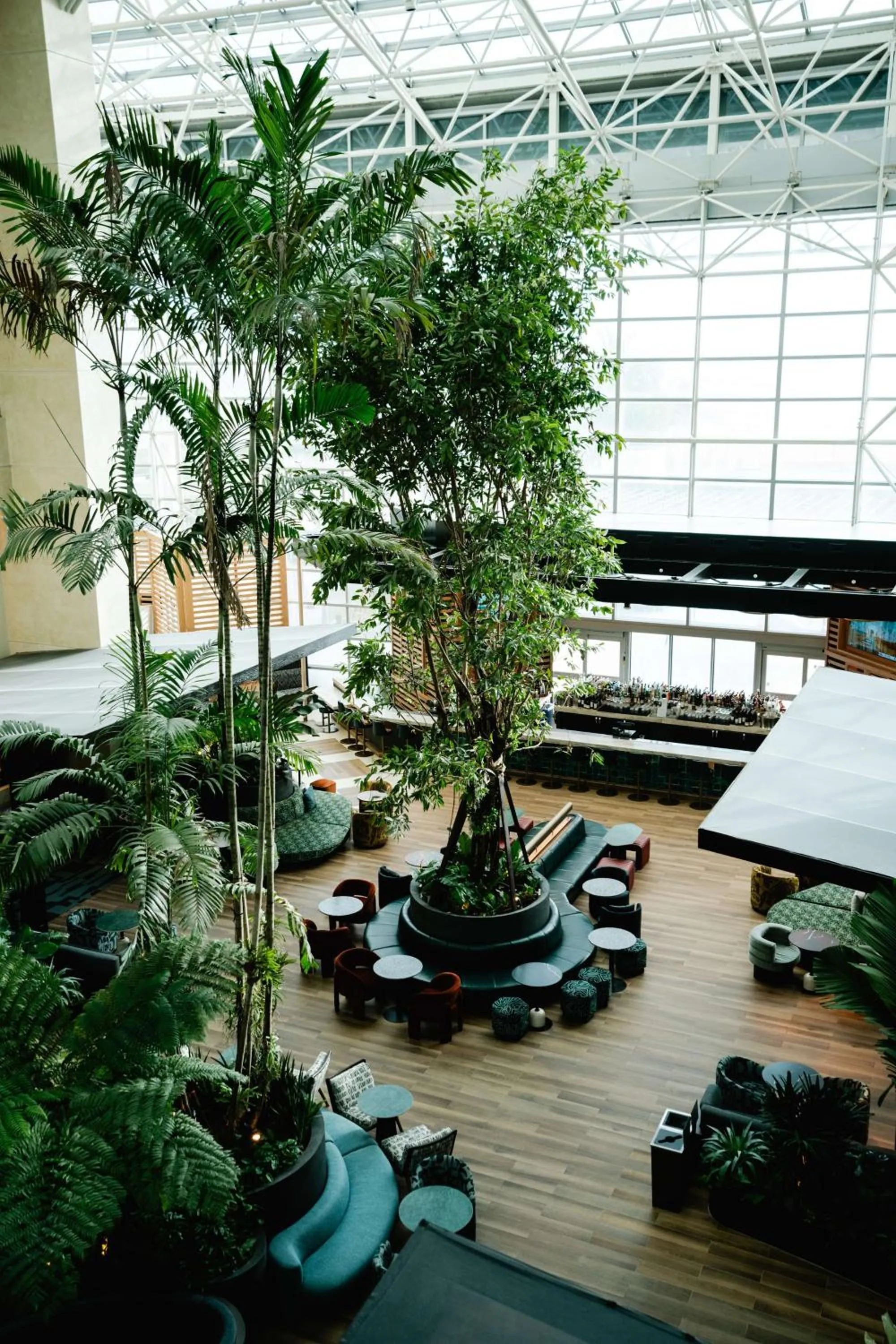 Lounge or bar in The Diplomat Beach Resort Hollywood, Curio Collection by Hilton