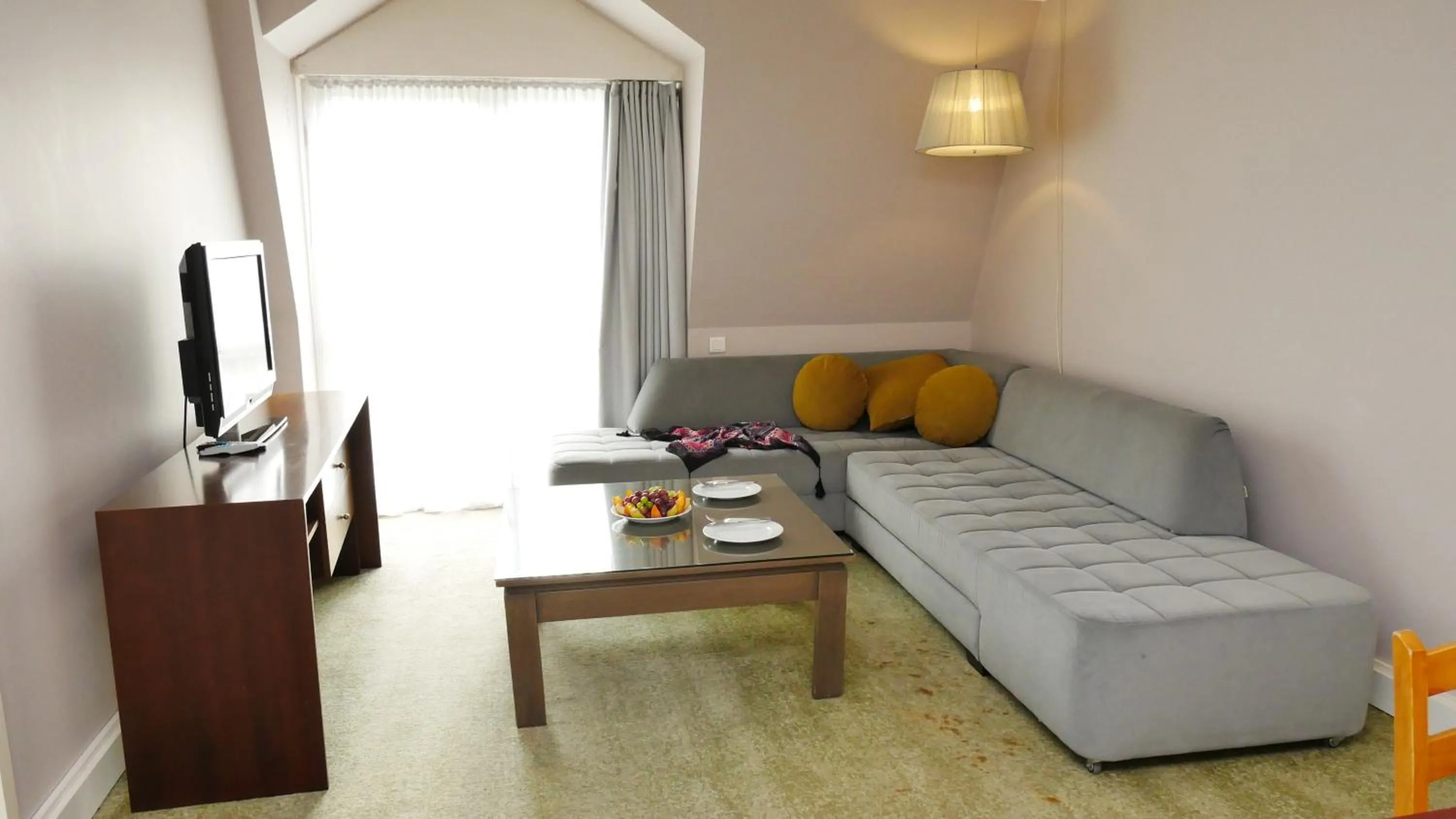 TV and multimedia in TALEN OTEL