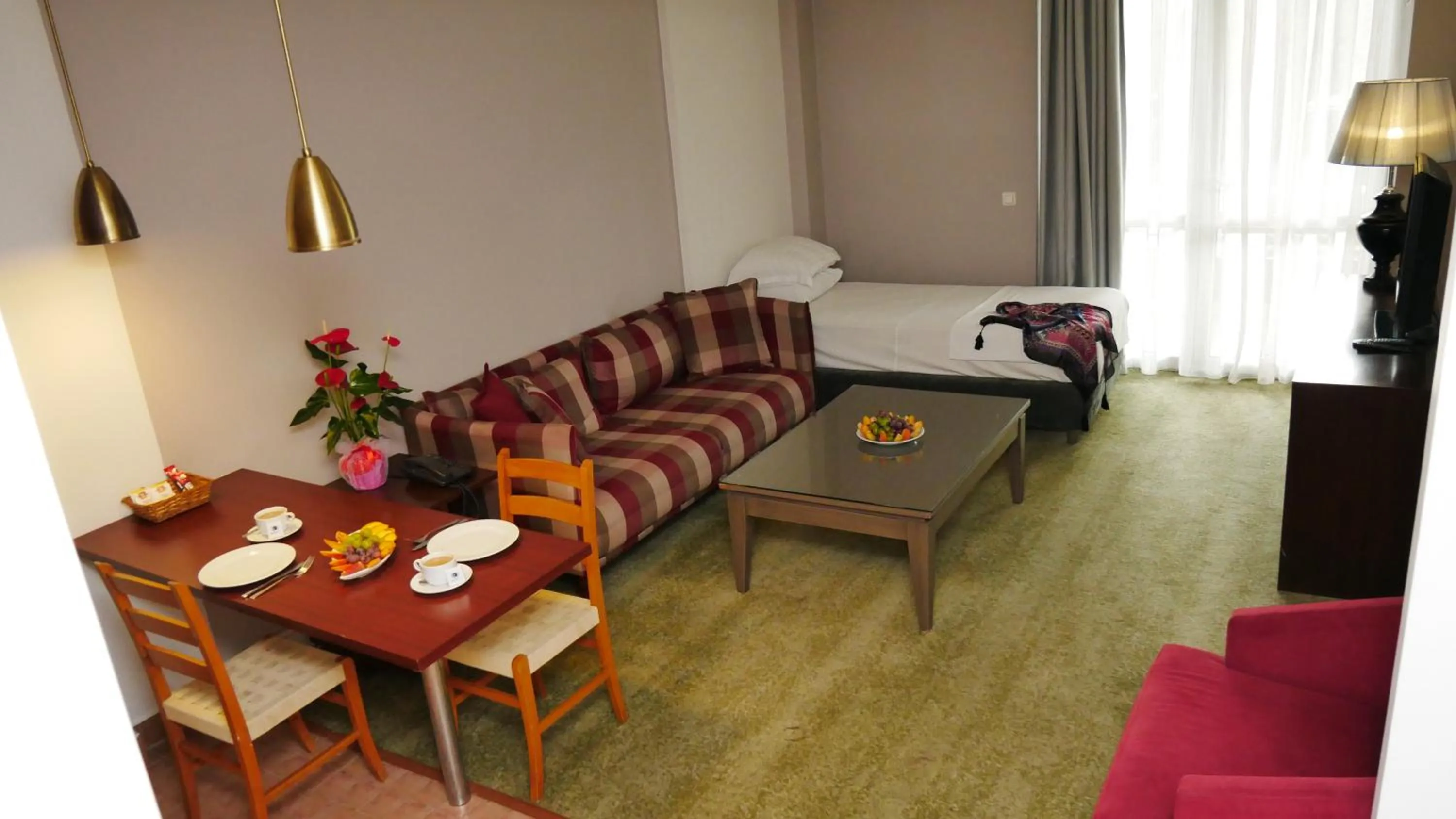 TV and multimedia in TALEN OTEL