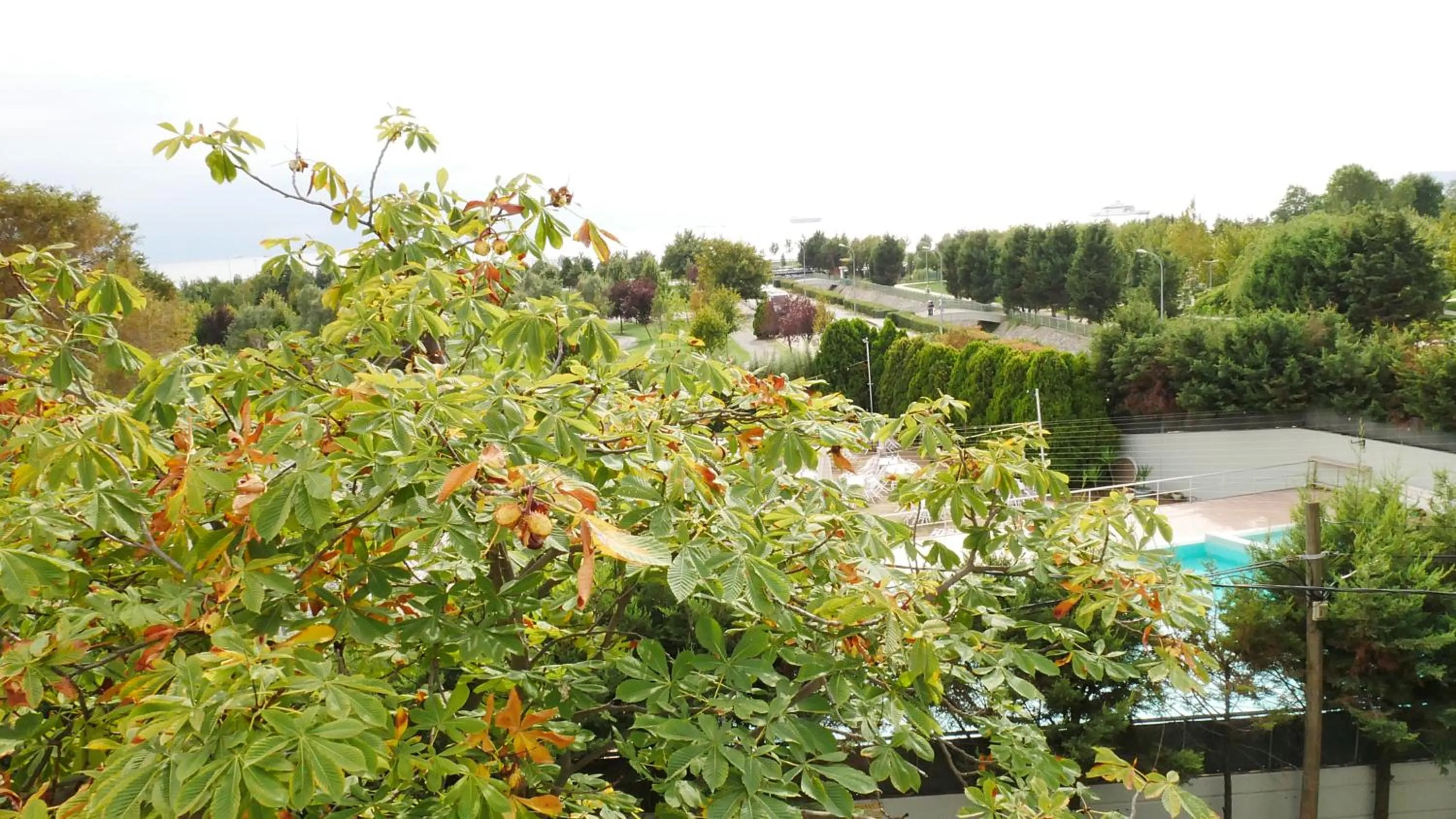 Neighbourhood in TALEN OTEL