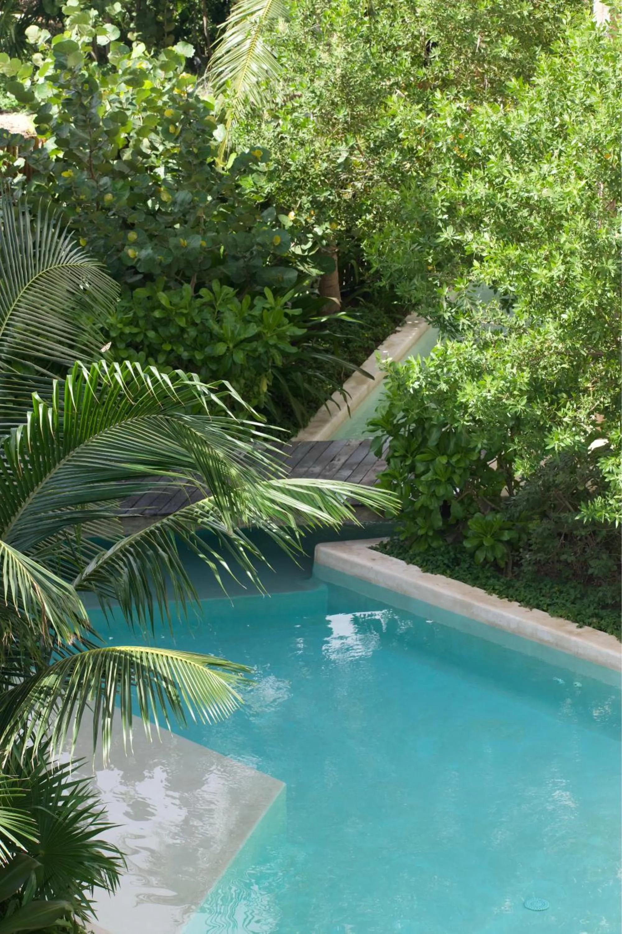 Garden in Nerea Tulum