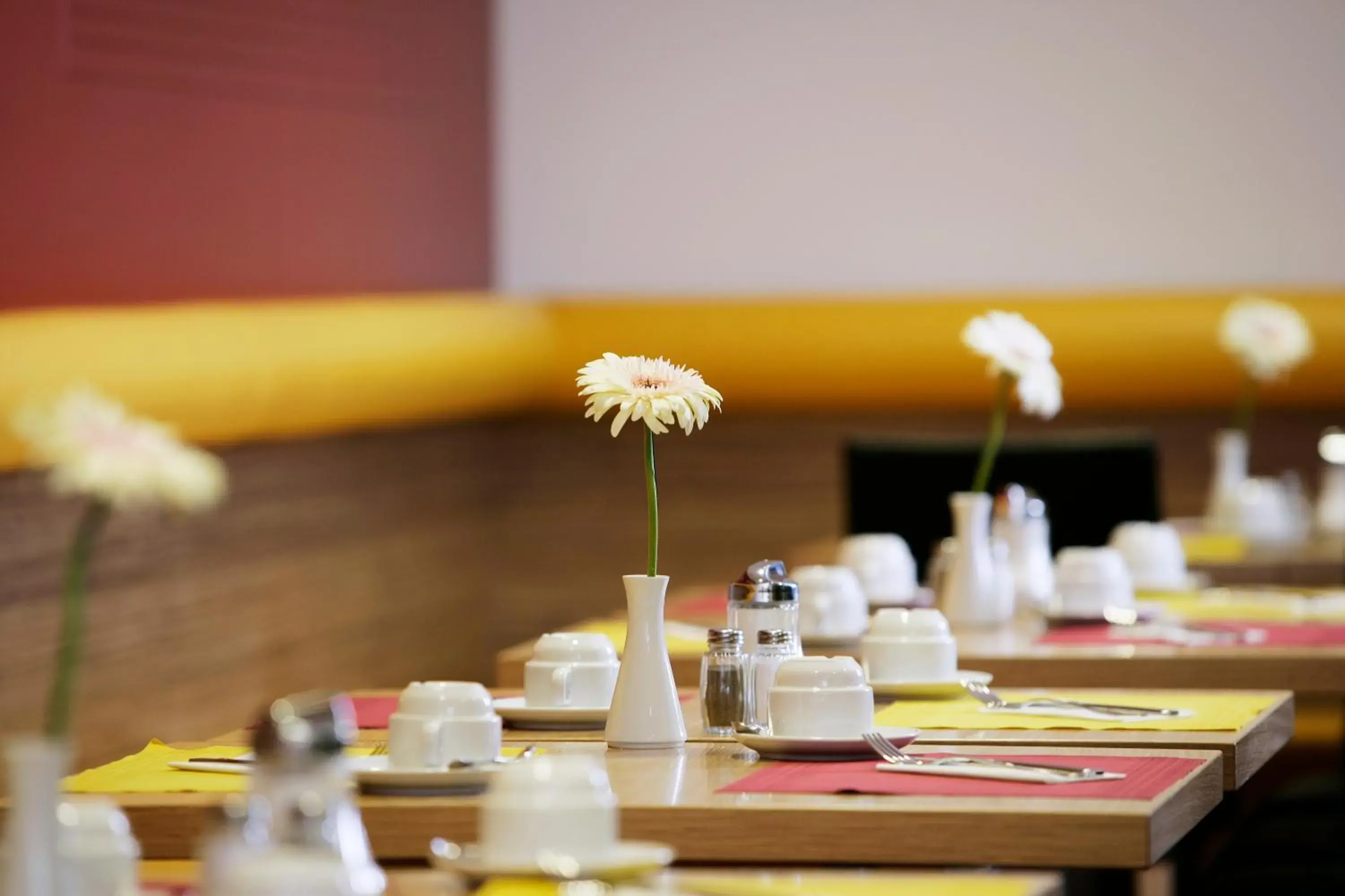 Restaurant/places to eat in Senator Hotel Vienna Restaurant/places to eat in Senator Hotel Vienna