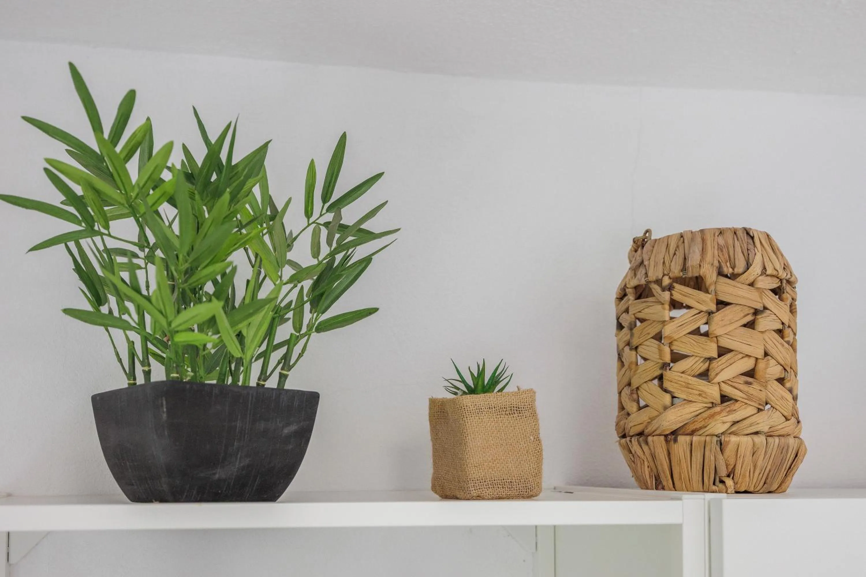 Decorative detail in Casa Jardim Oasis