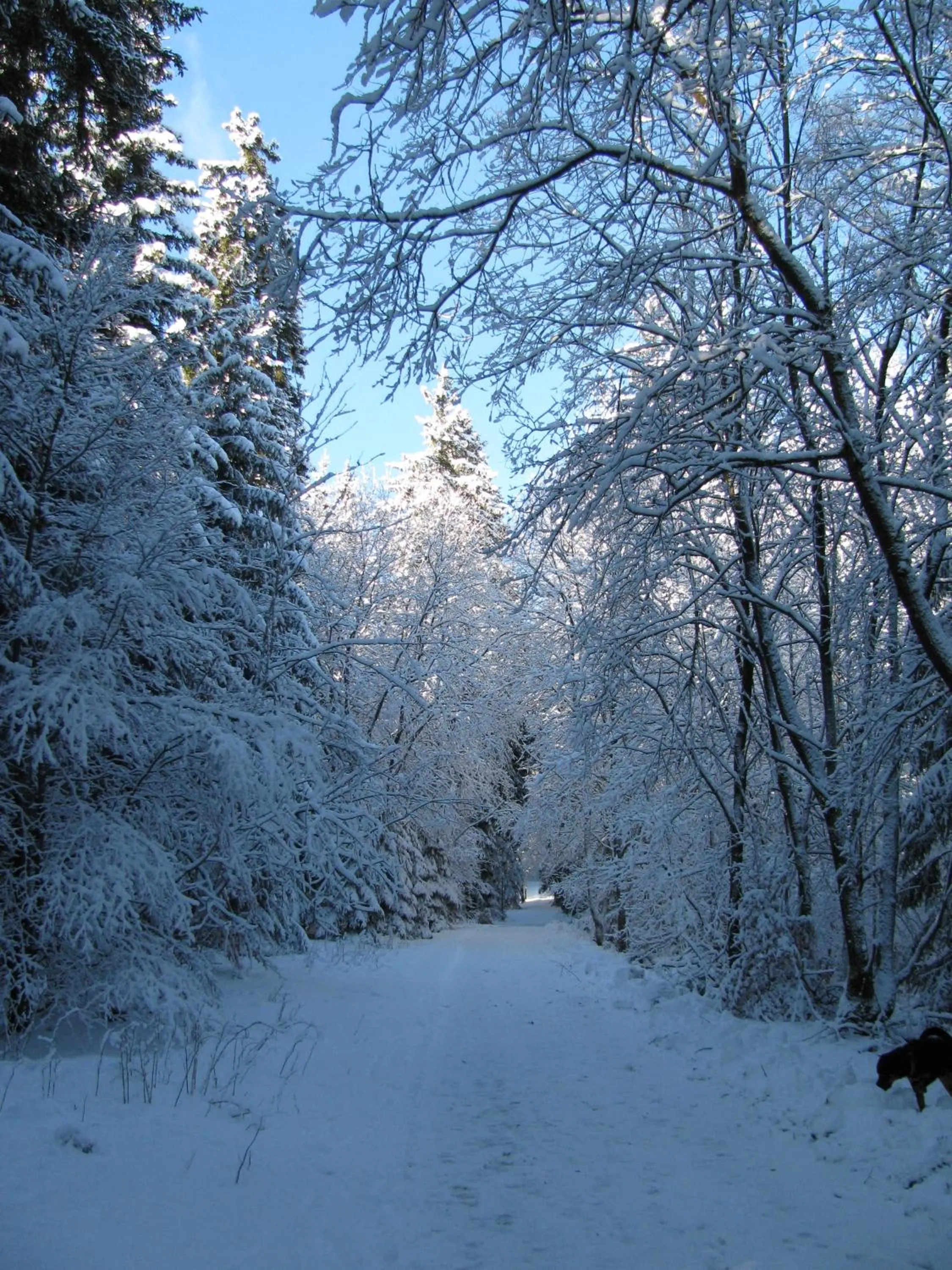 Hiking in Hotel Kilian