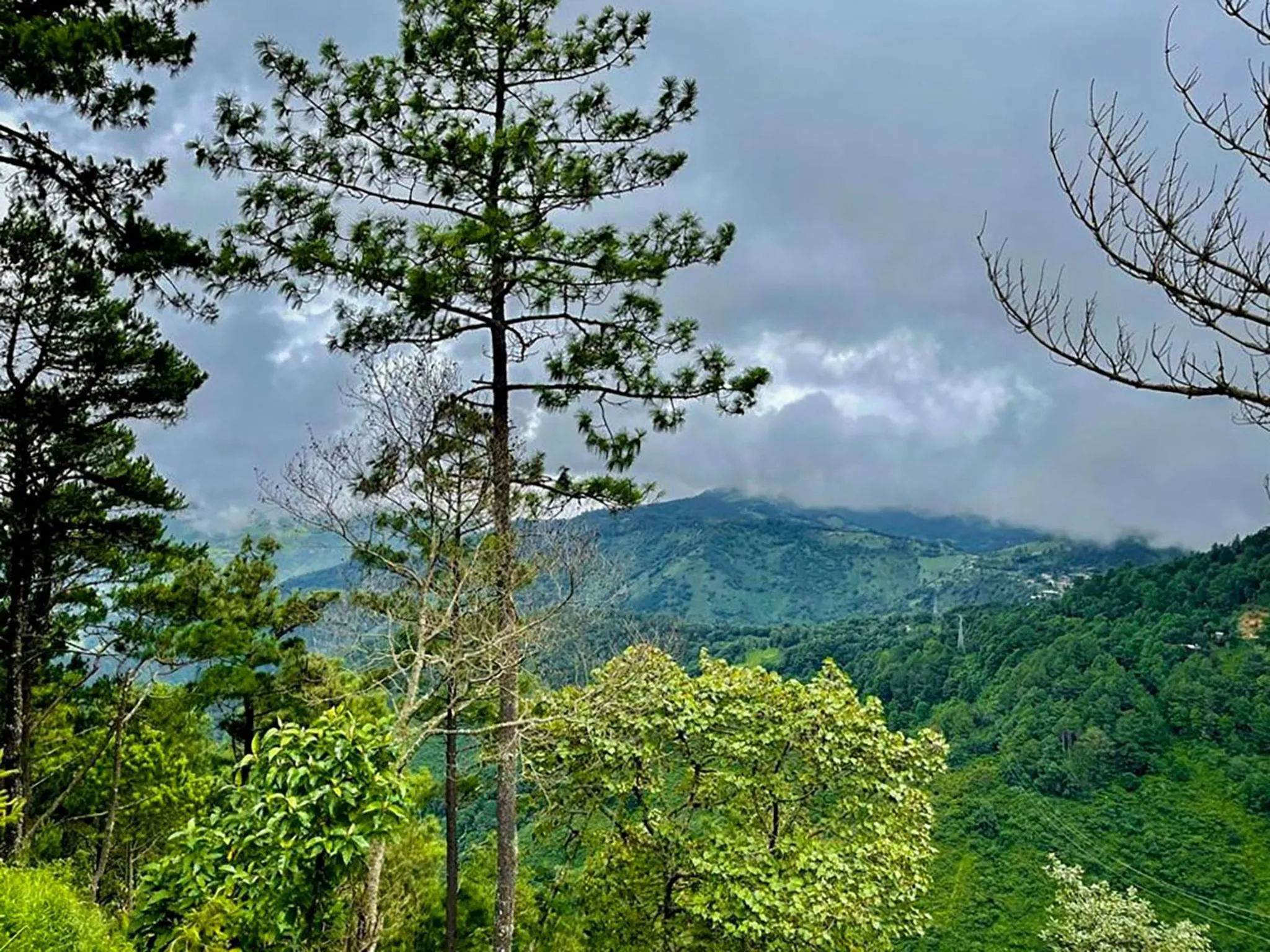 Garden view in Alto de la Sierra by Rotamundos