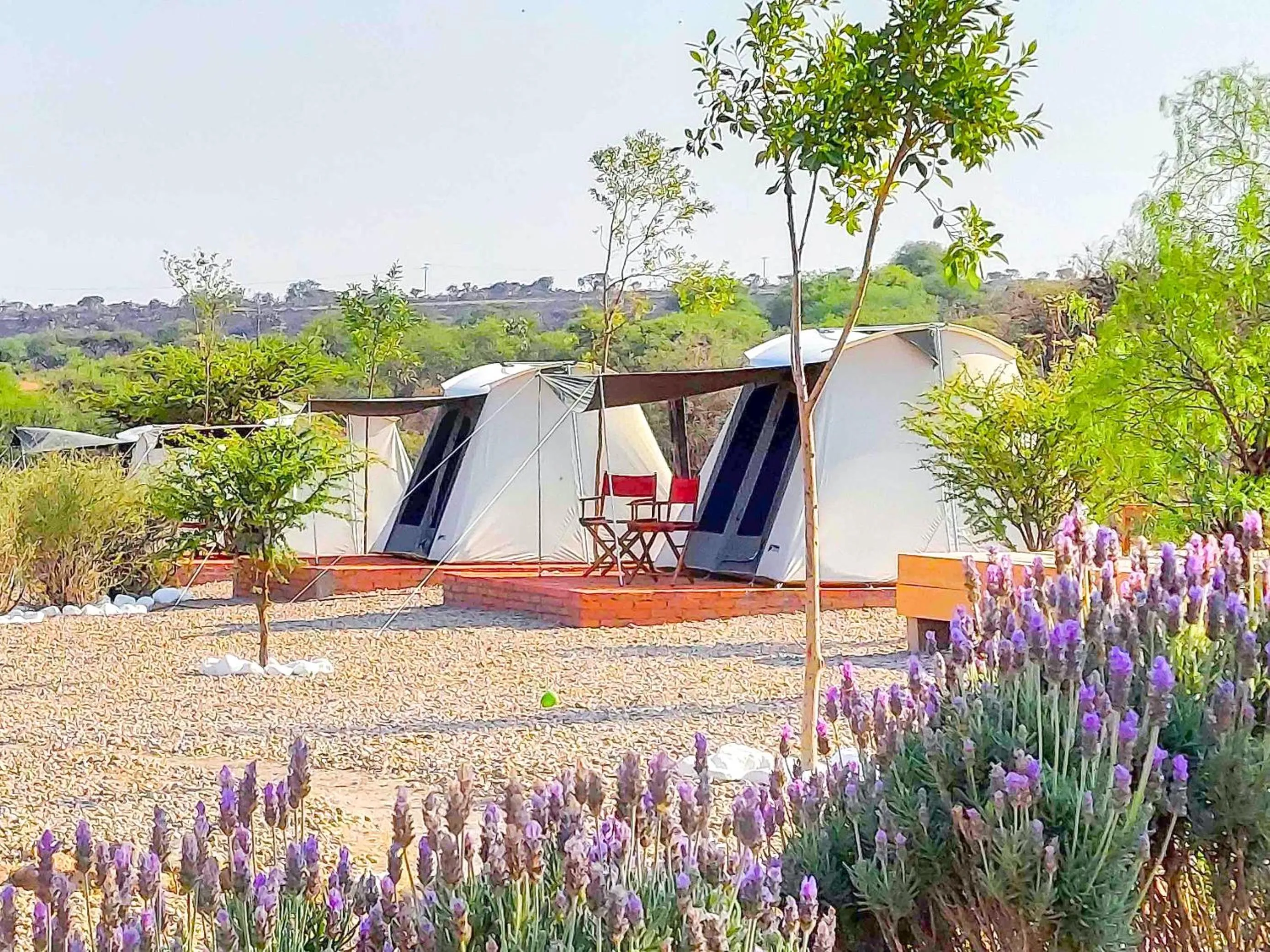 Property building in ZenZontle GlampingSMA