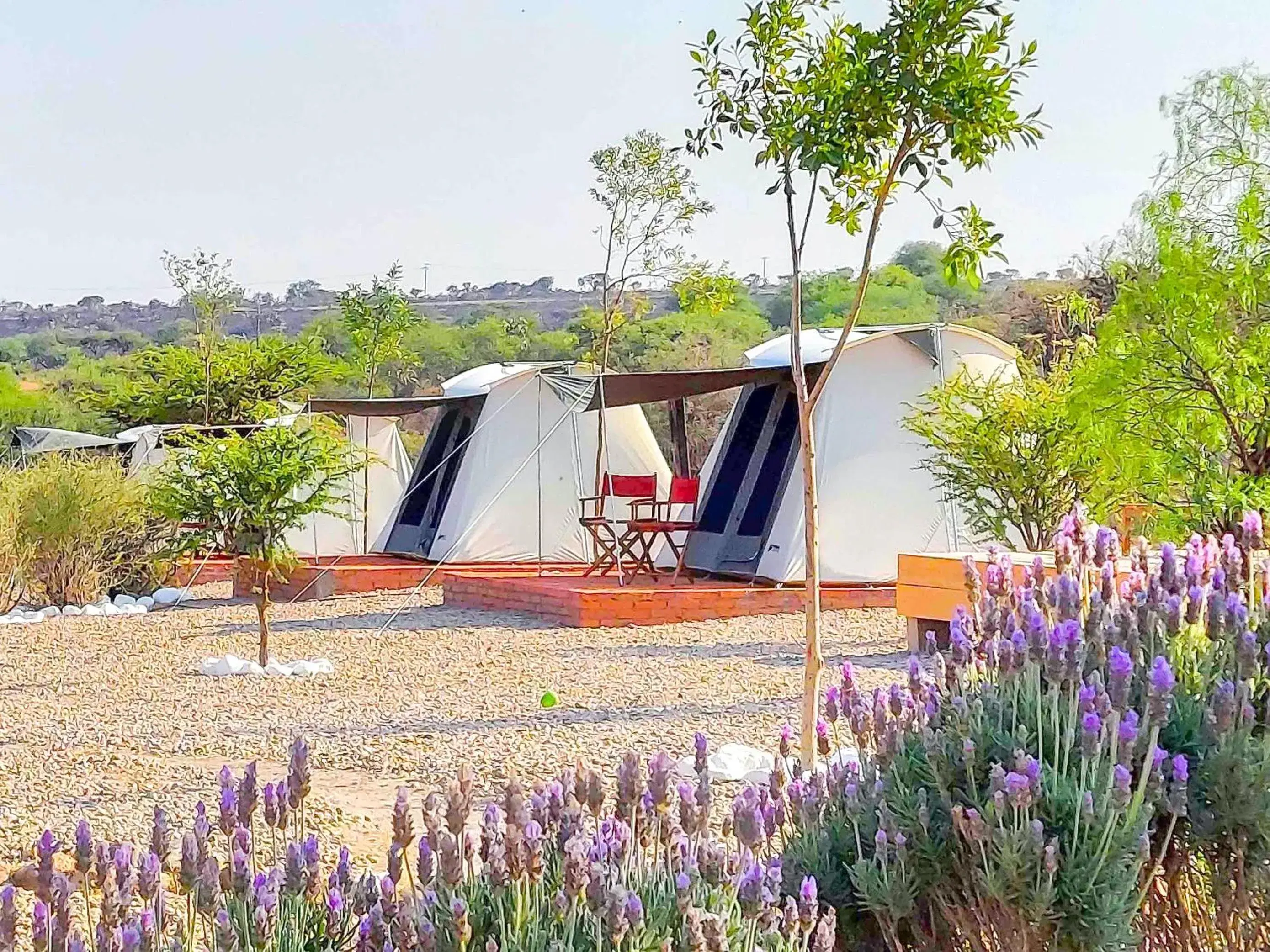 Triple Room in ZenZontle GlampingSMA Triple Room in ZenZontle GlampingSMA