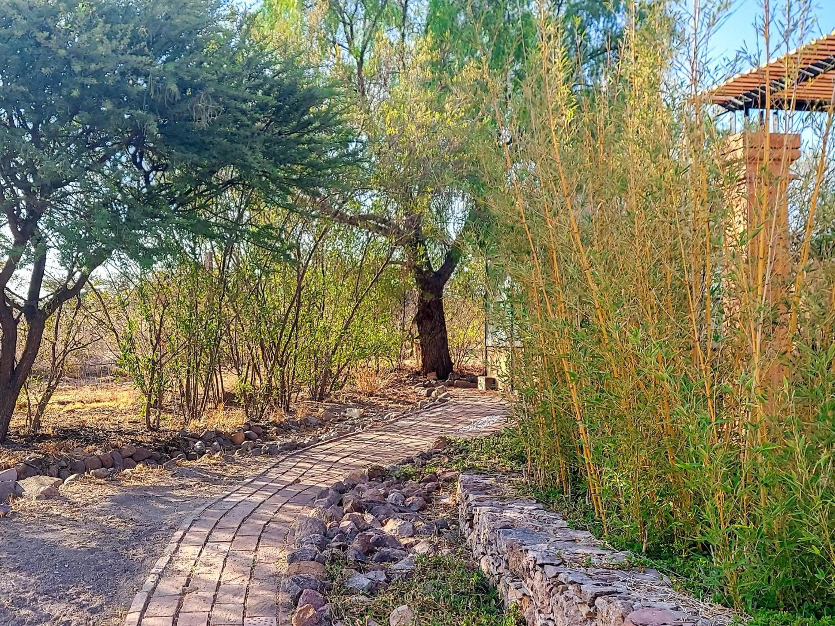 Natural landscape in ZenZontle GlampingSMA