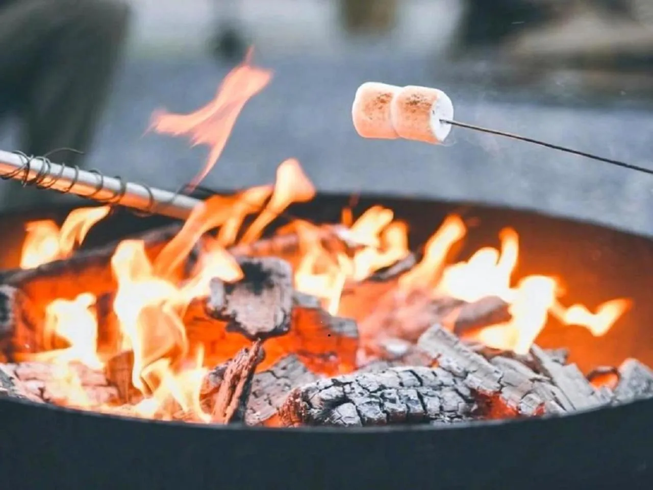 Off site in ZenZontle GlampingSMA