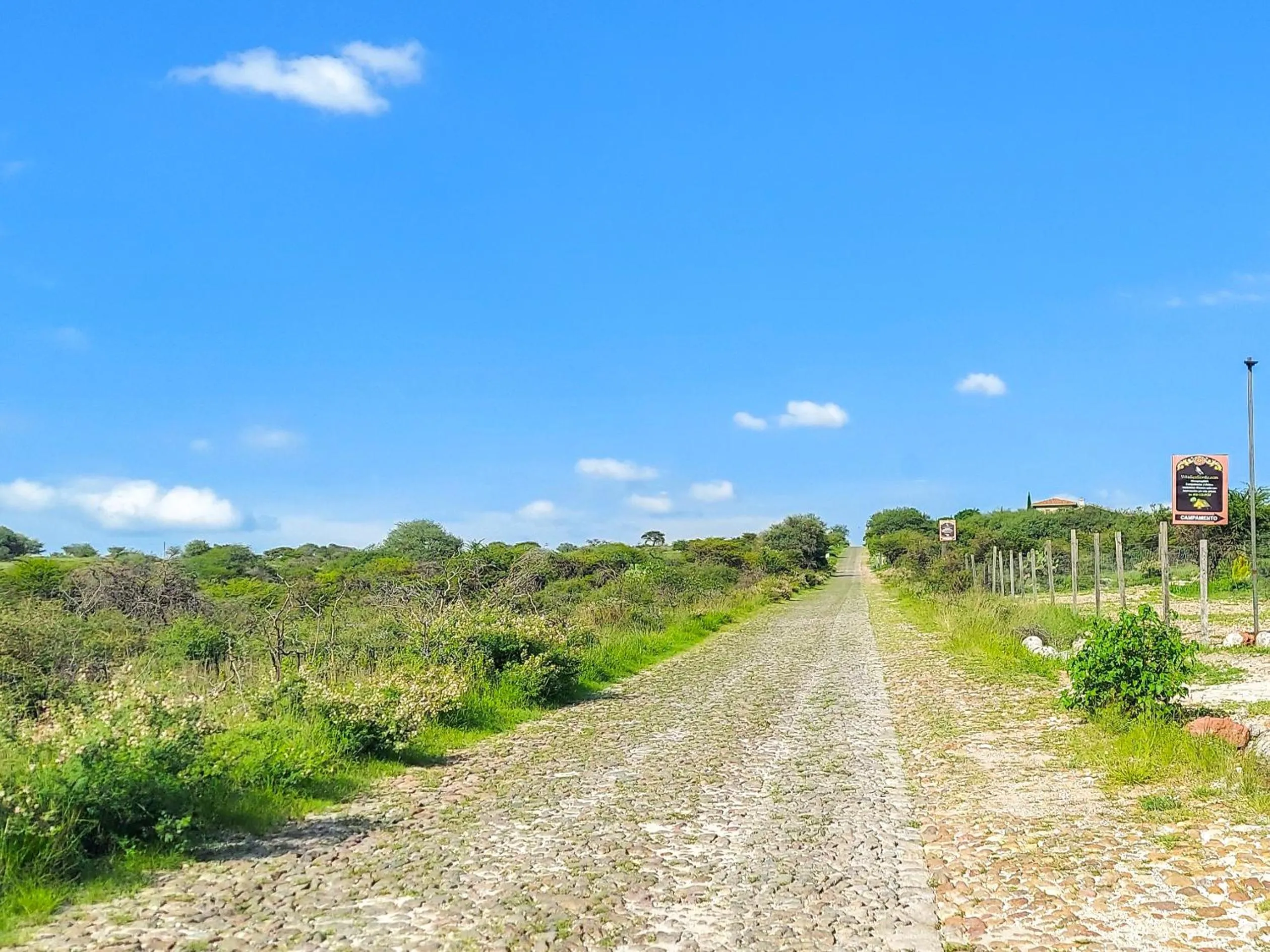 Natural landscape in ZenZontle GlampingSMA