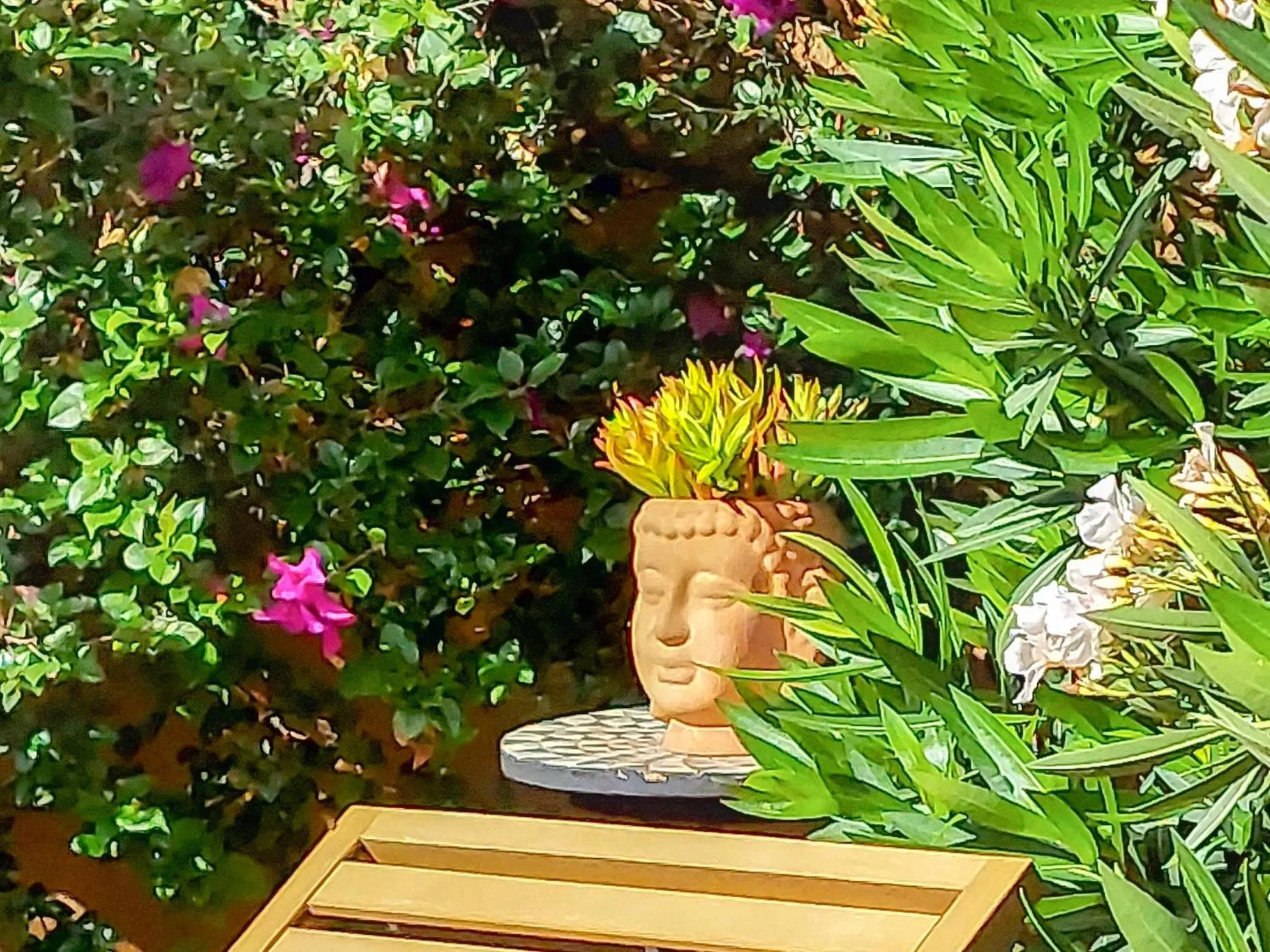 Garden in ZenZontle GlampingSMA