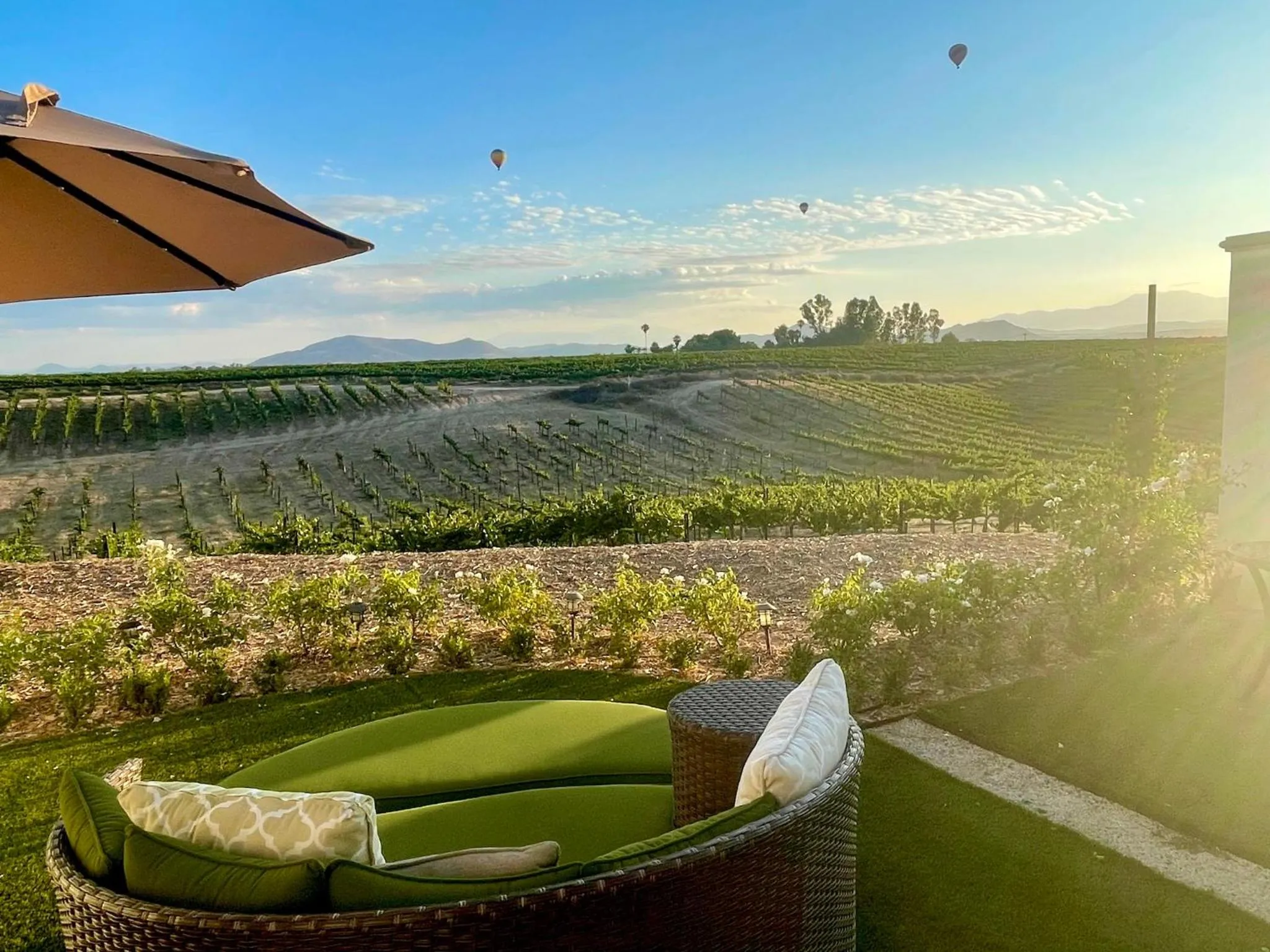 Garden in Domaine Chardonnay