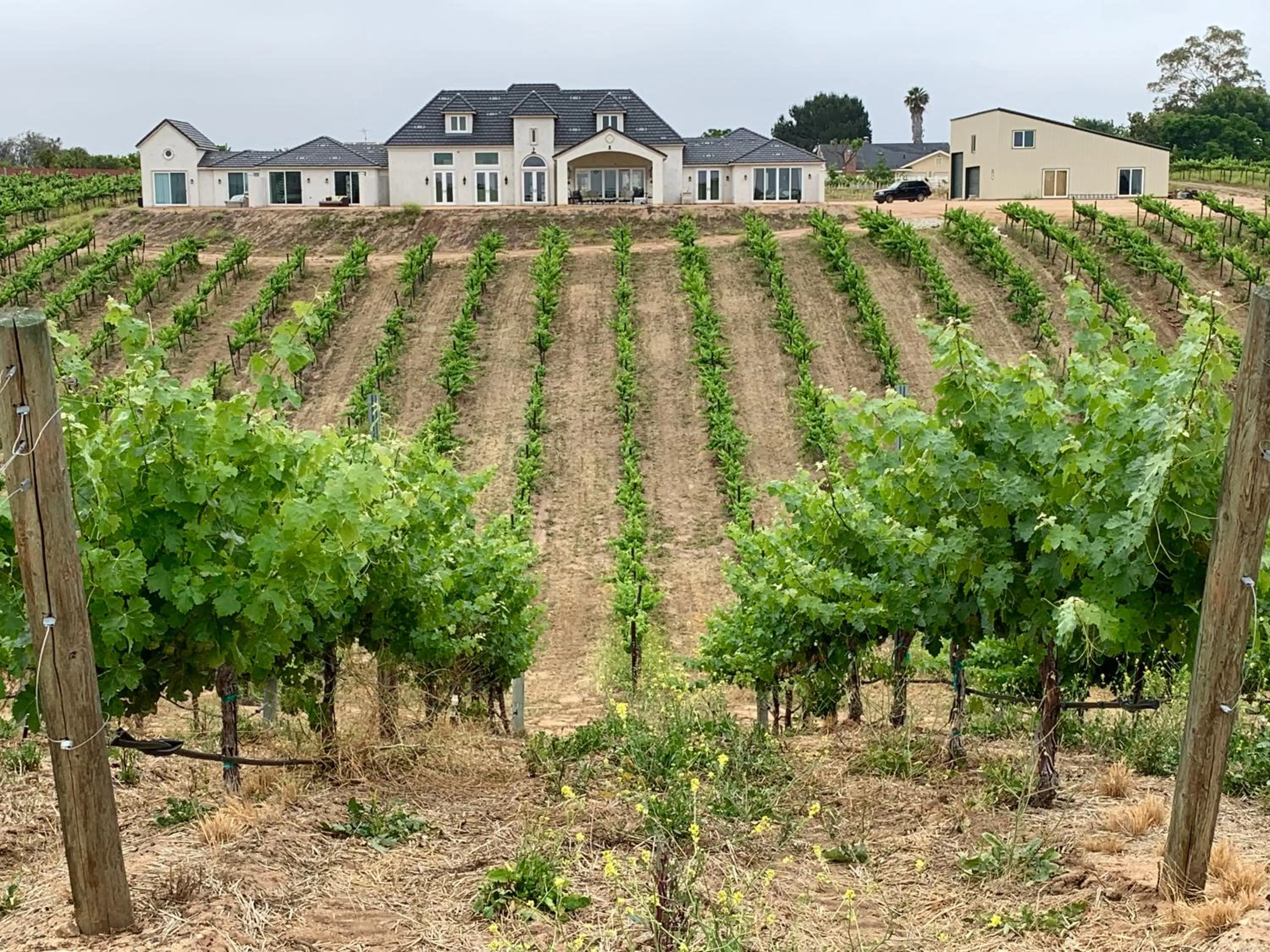 Property building in Domaine Chardonnay