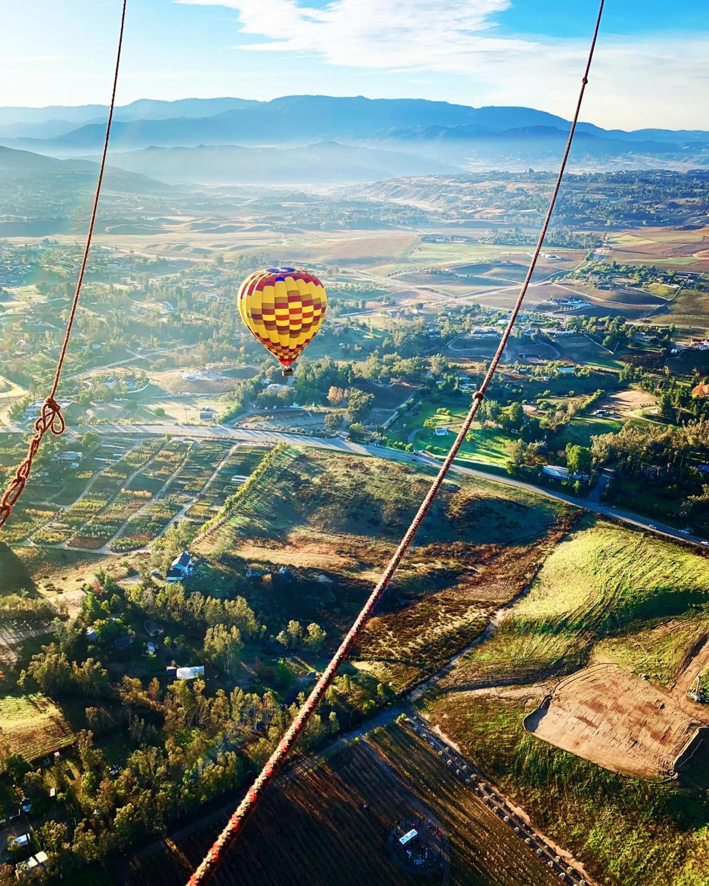 Activities in Domaine Chardonnay