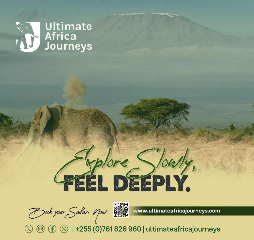 Charming Eco-Homestay near Kilimanjaro International Airport