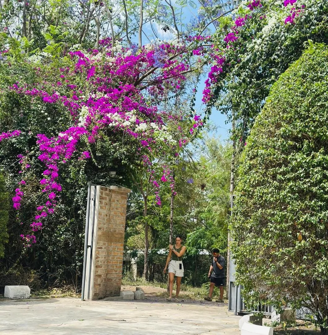 Charming Eco-Homestay near Kilimanjaro International Airport
